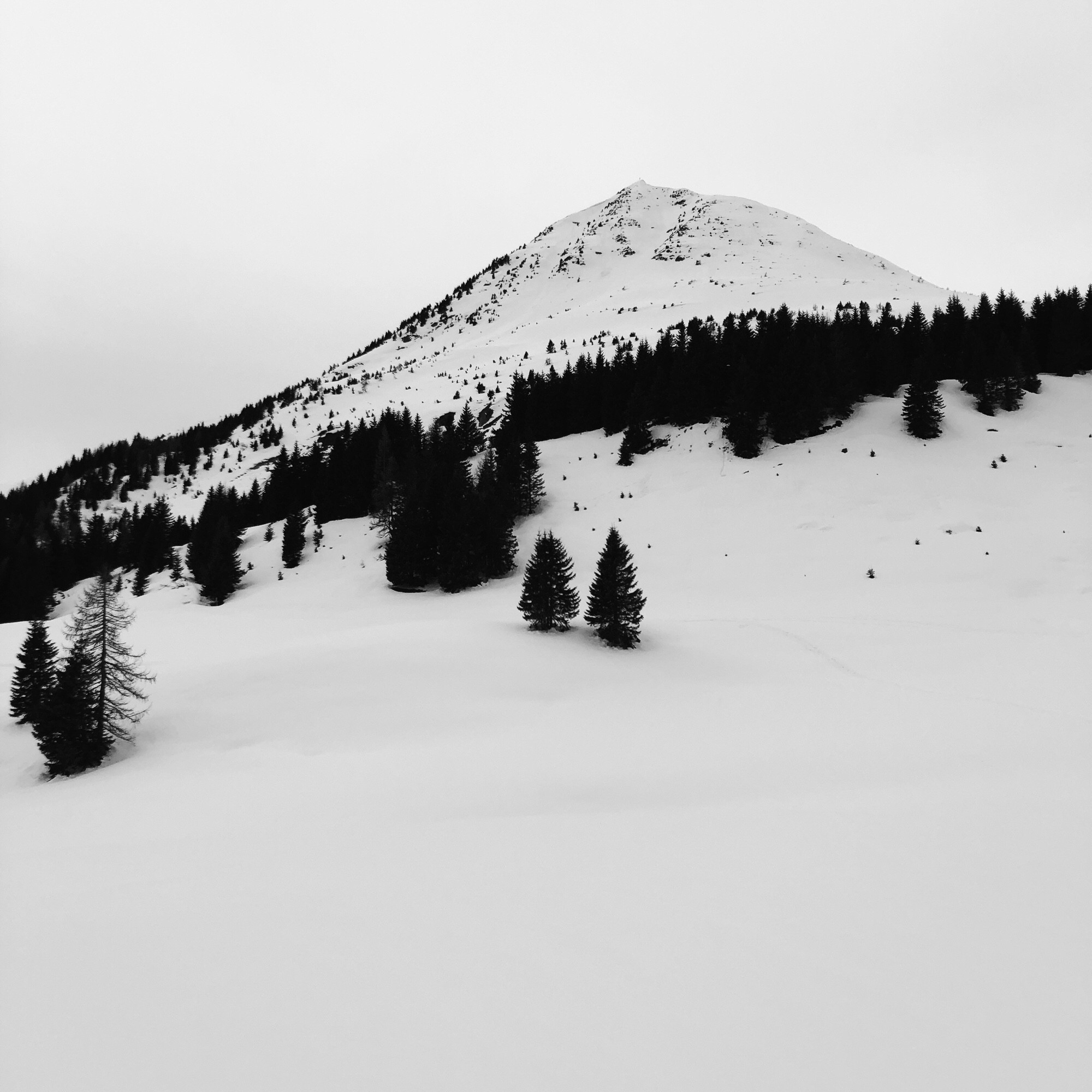 Il grande prato Prà del Signor coperto dalla neve con la cima del Monte Cornicolo - Kleiner Kornigl (2311 m) sullo sfondo