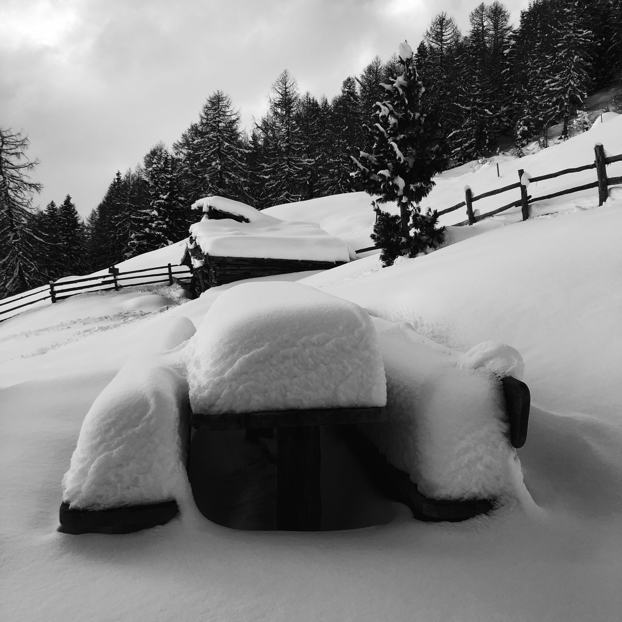 Tanta neve sopra ai tavoli ed alle panchine esterne della malga in montagna