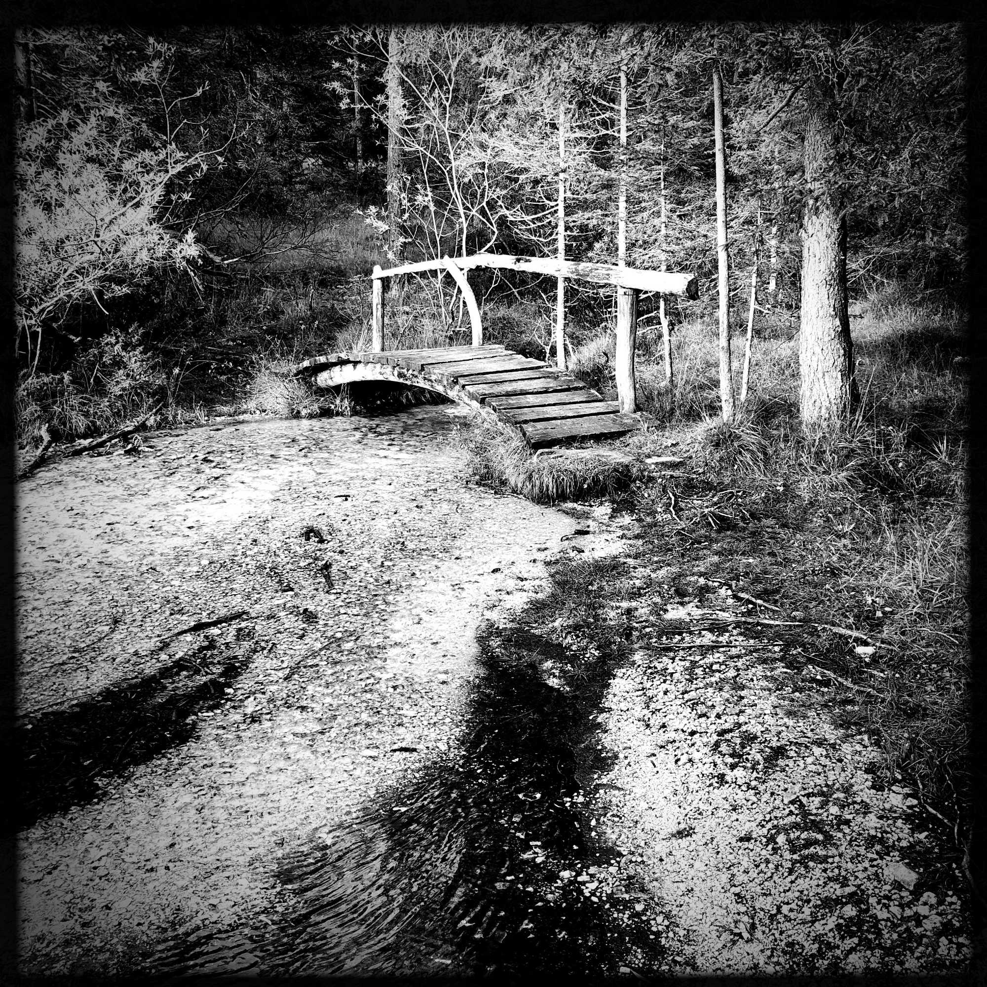 Un ruscello ed un piccolo ponte in legno lungo il sentiero nel bosco