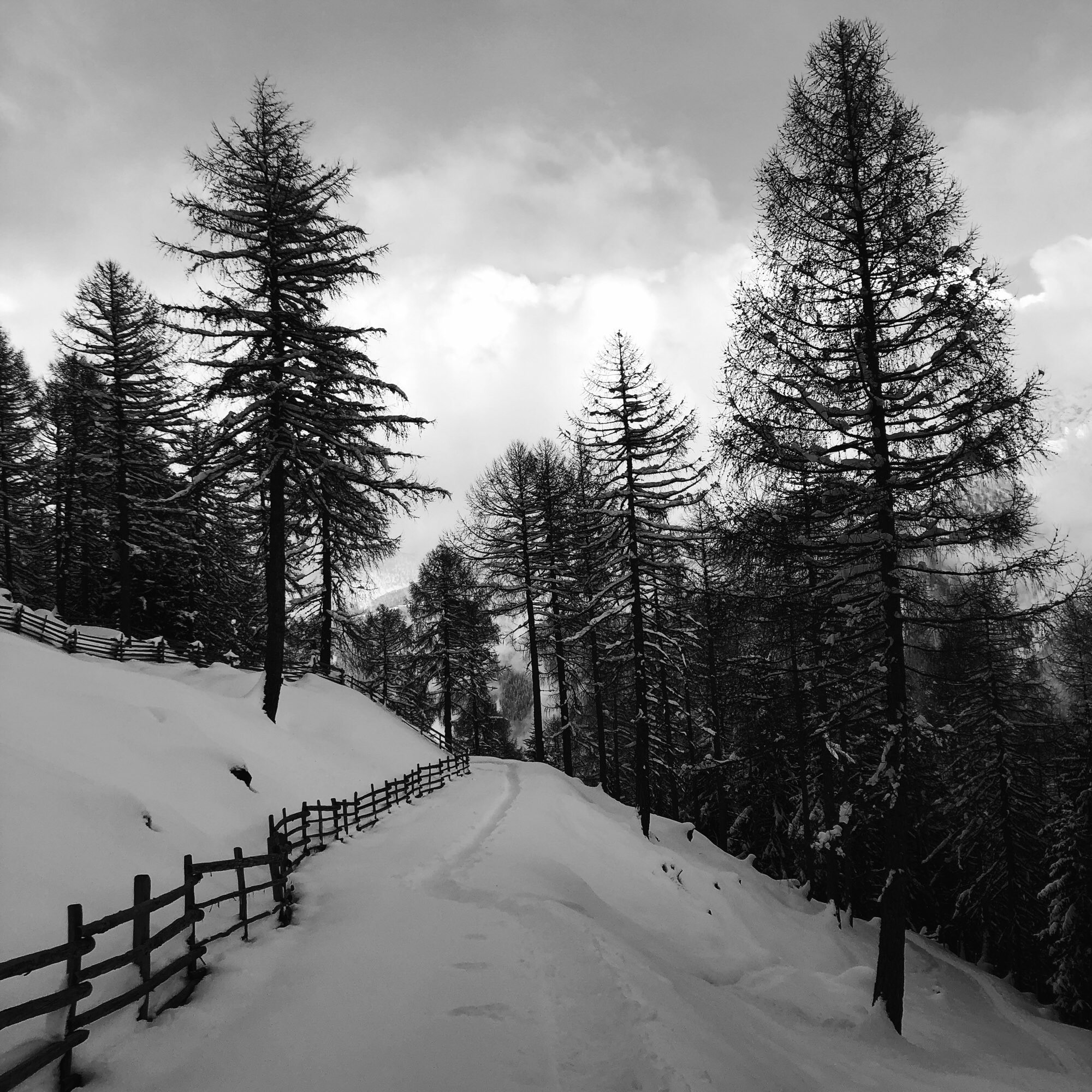 Un sentiero in discesa nella neve ed uno steccato che scende lungo il sentiero