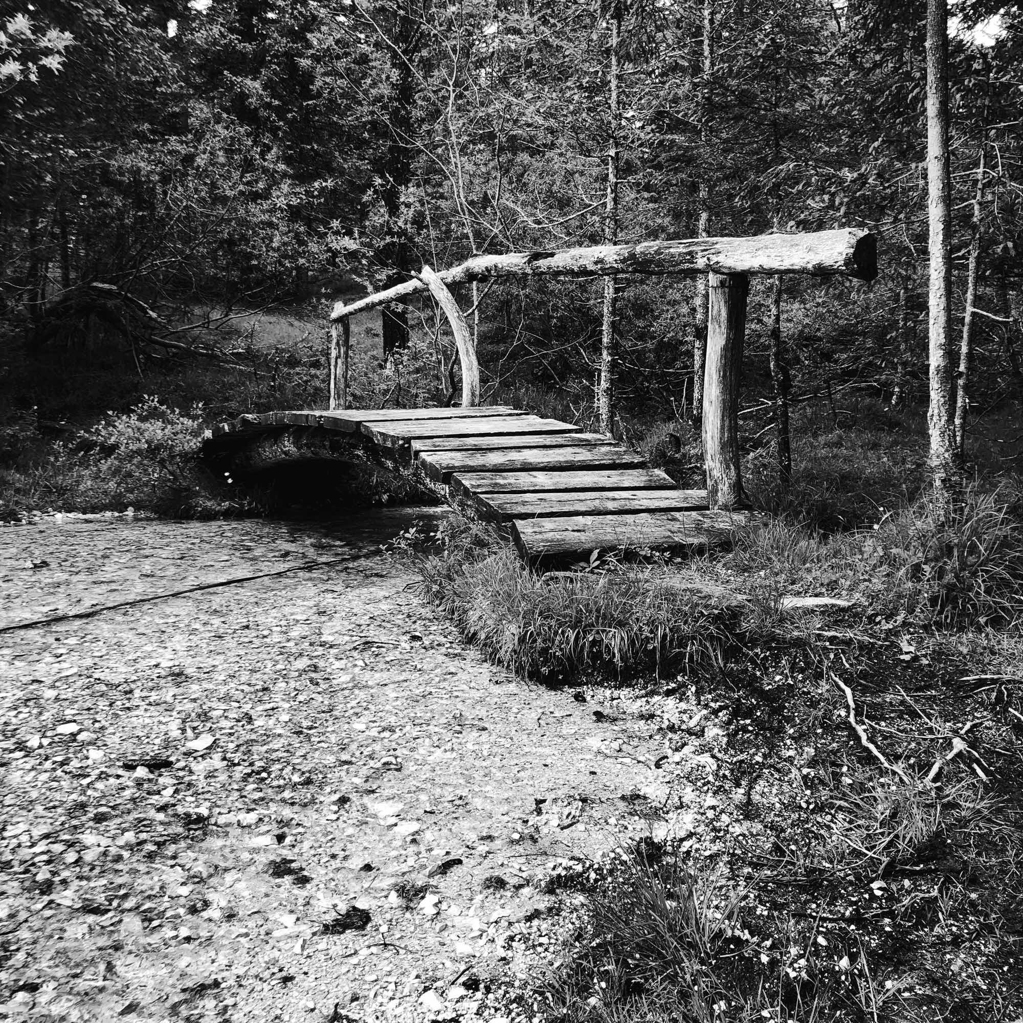 Un piccolo ponte in legno sopra il ruscello lungo il sentiero nel bosco