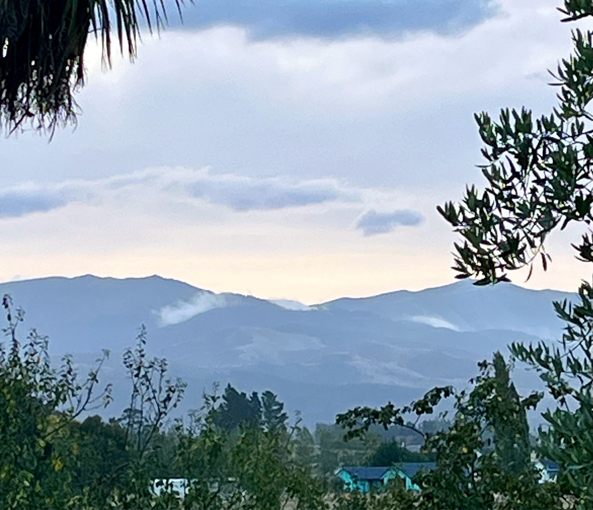 Hills in the evening light