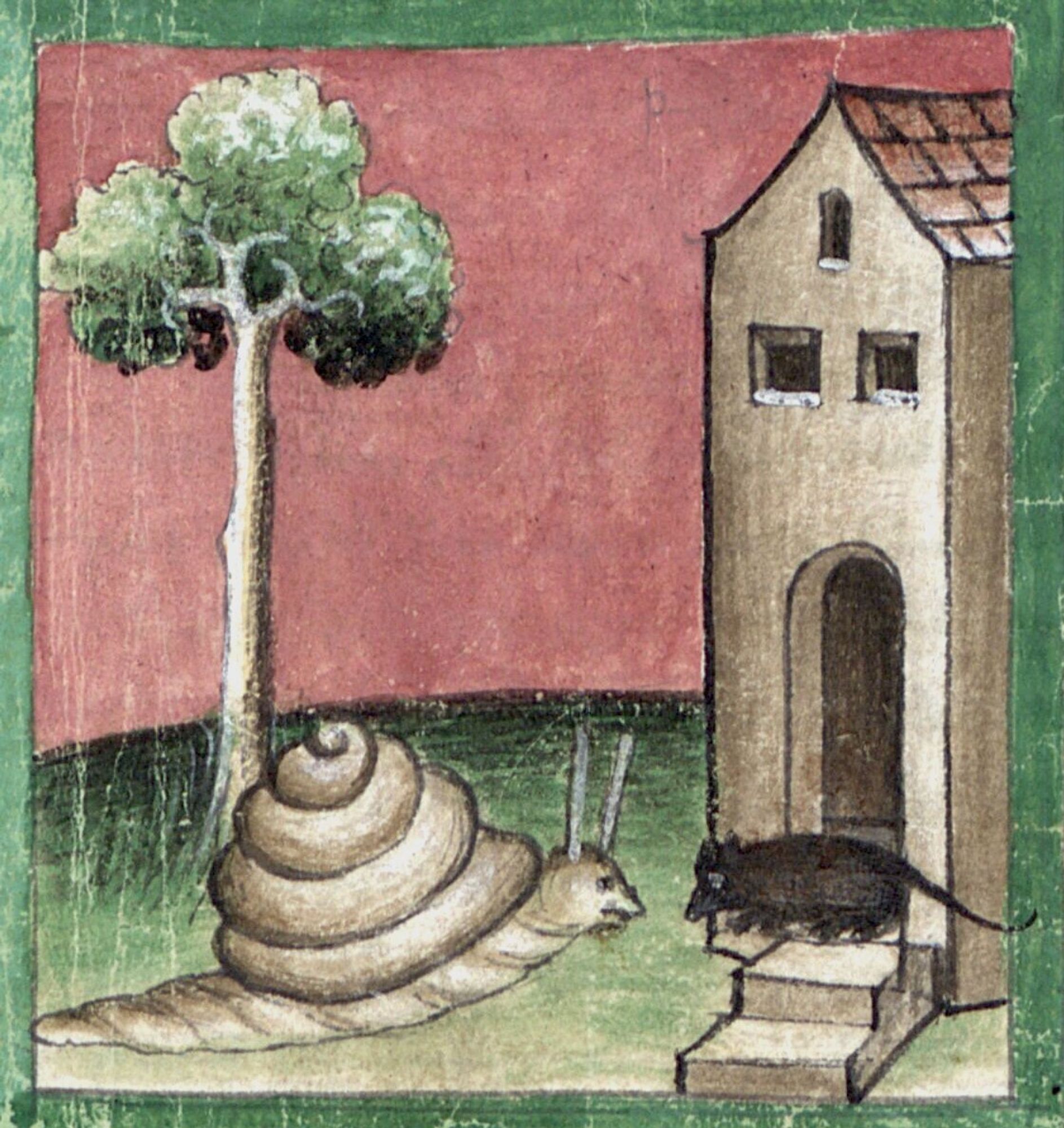 a medieval drawing of a black mouse standing in the doorway of a house talking to a snail on the grass in front of it