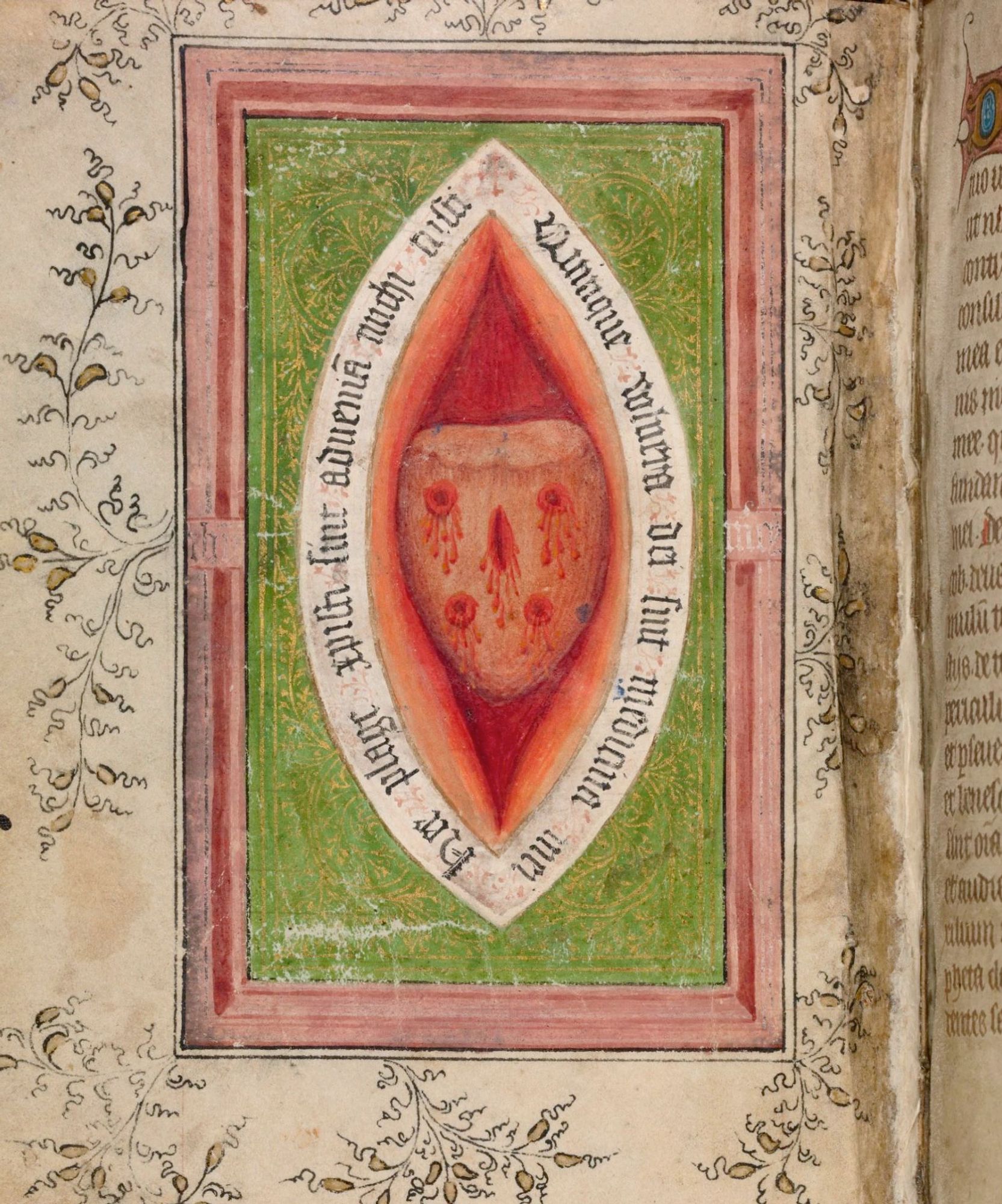 A medieval drawing of a wound with a bleeding chunk of flesh in it