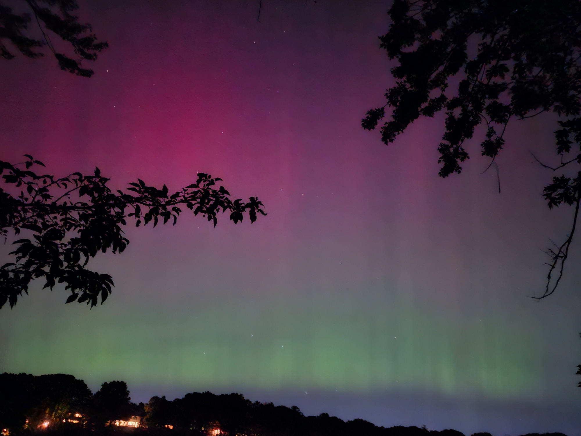 Green on the horizon and pink higher up, with tree branches silhouetted