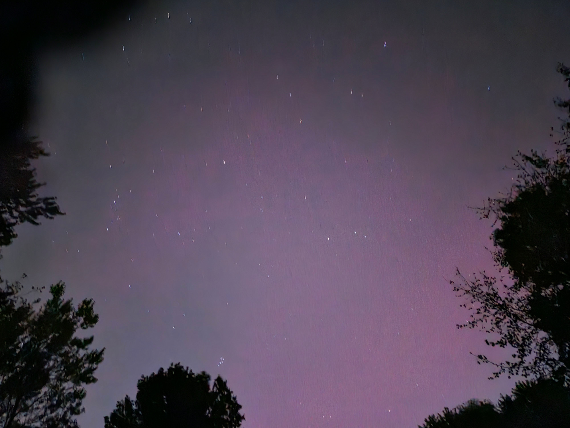 Night sky glows faintly pink