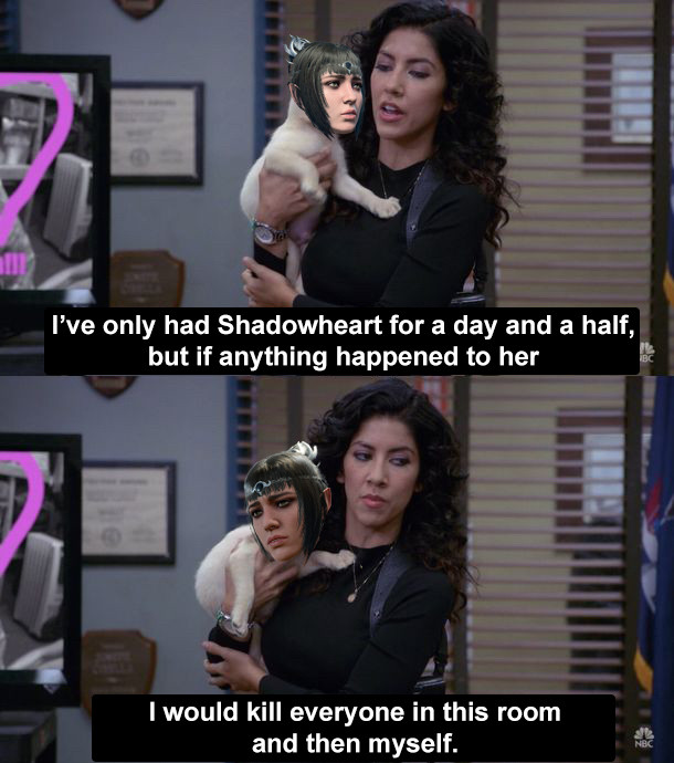 A screen grab of Rosa holding a puppy from Brooklyn 99 except Shadowheart from Baldur’s Gate 3’s head has been photoshopped onto the puppy.

The text reads “I’ve only had Shadowheart for a day and a half, but if anything happened to her I would kill everyone in this room and then myself.