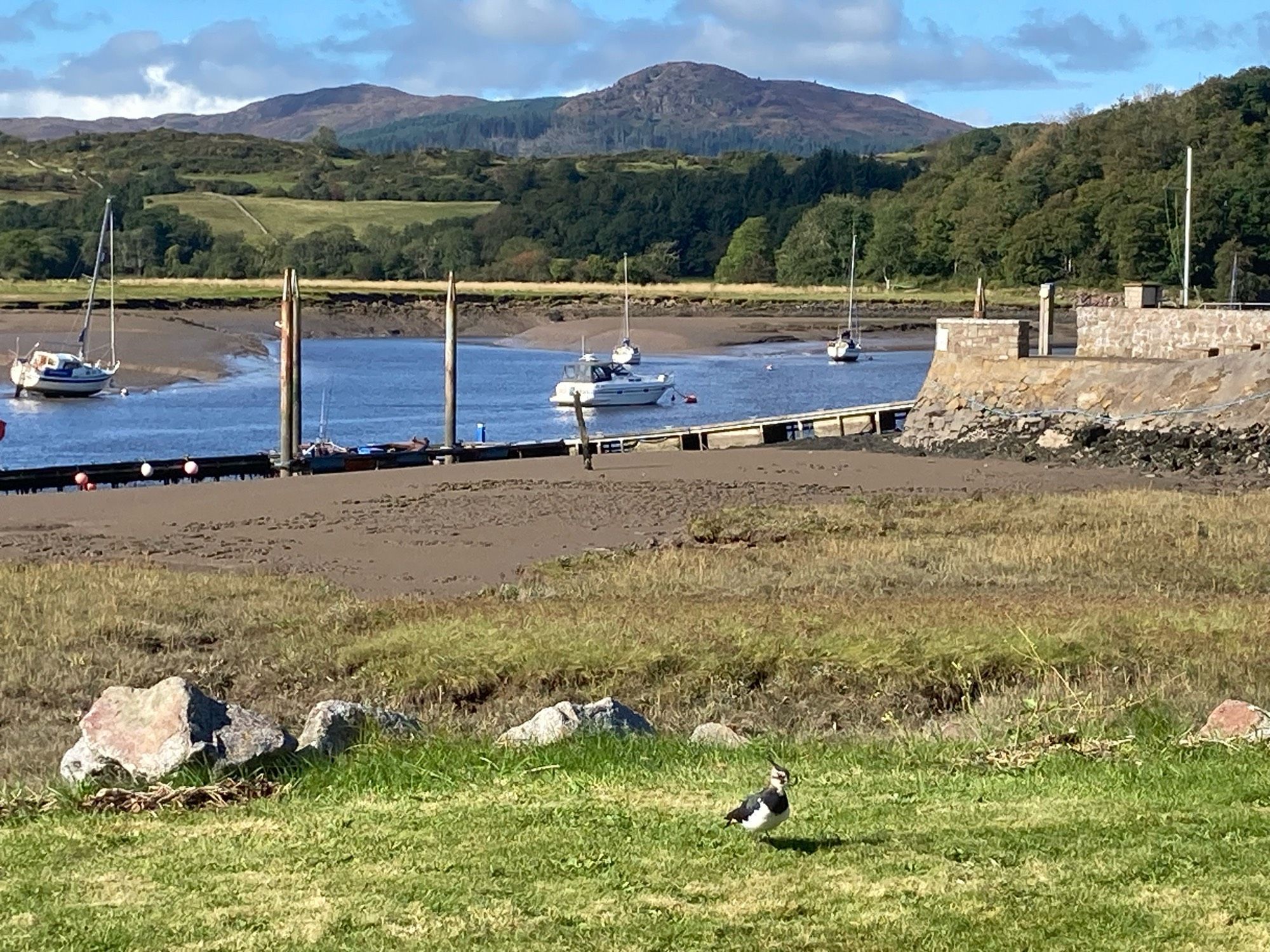 River at low tide. Hills beyond. Blue skies. There is a lapwing in the centre front of the picture