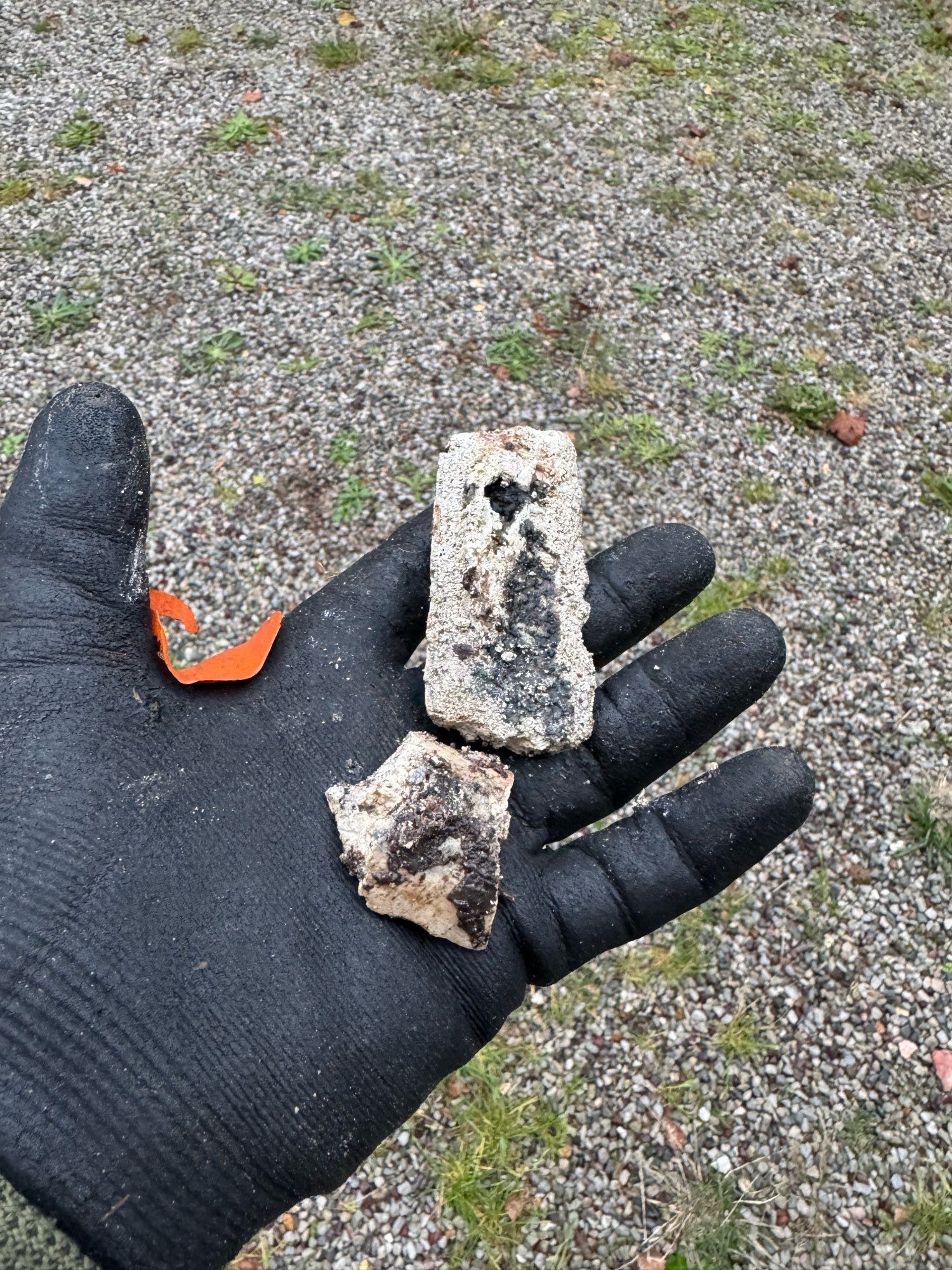 A black gloved hand holding two chunks of caked soap scum and waste fats, about 8x3x1.5cm. The bigger chunk is curved, clearly having been stuck to the pipe wall.