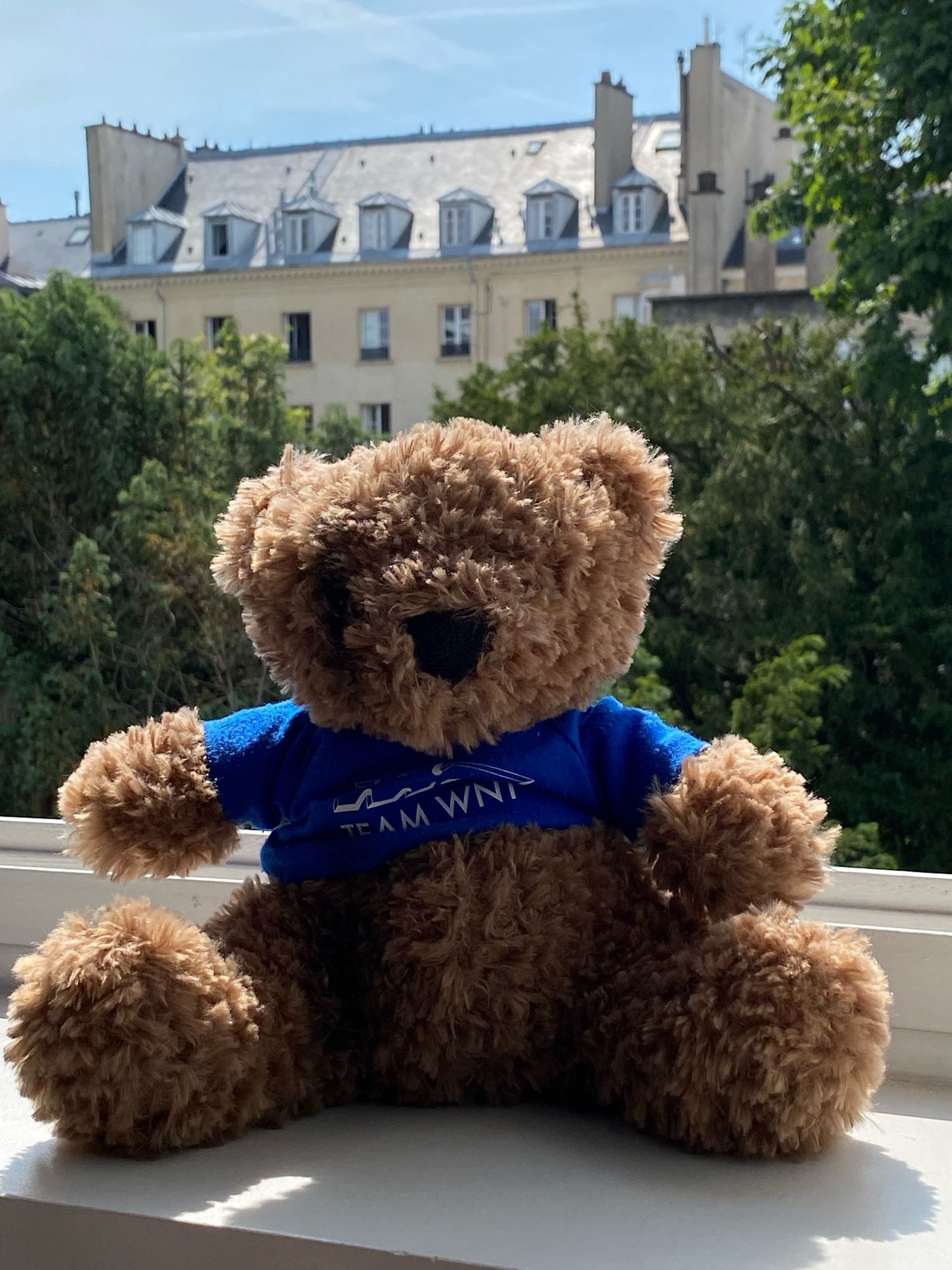 A brown teddy bear sitting in an open window with Versailles apartments behind him.