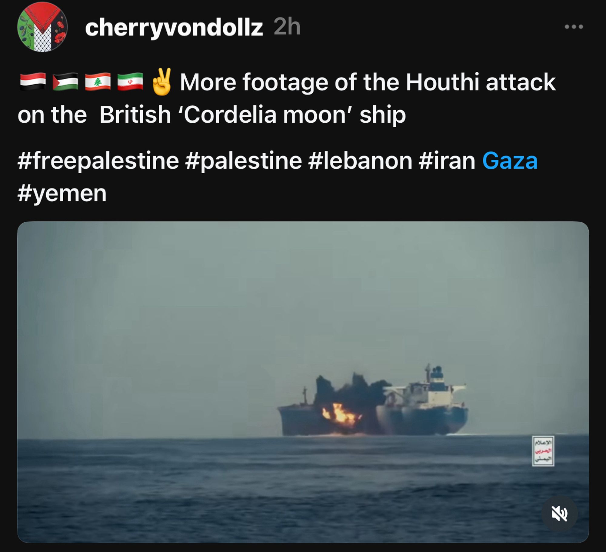 More footage of the Houthi attack
on the British 'Cordelia moon' ship
#freepalestine #palestine #lebanon #iran