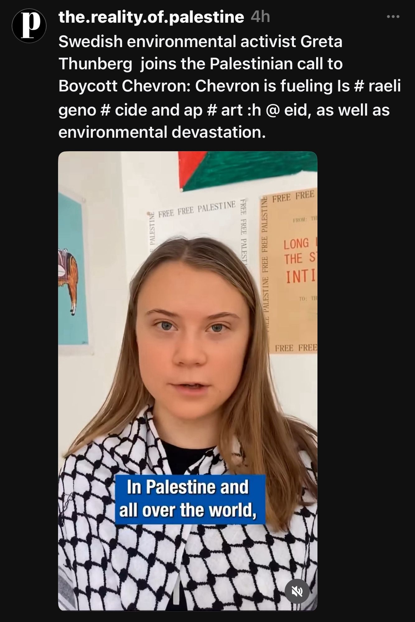 the.reality.of.palestine 4h
Swedish environmental activist Greta Thunberg joins the Palestinian call to Boycott Chevron: Chevron is fueling Is # raeli geno # cide and ap # art :h @ eid, as well as environmental devastation.

In Palestine and all over the world…