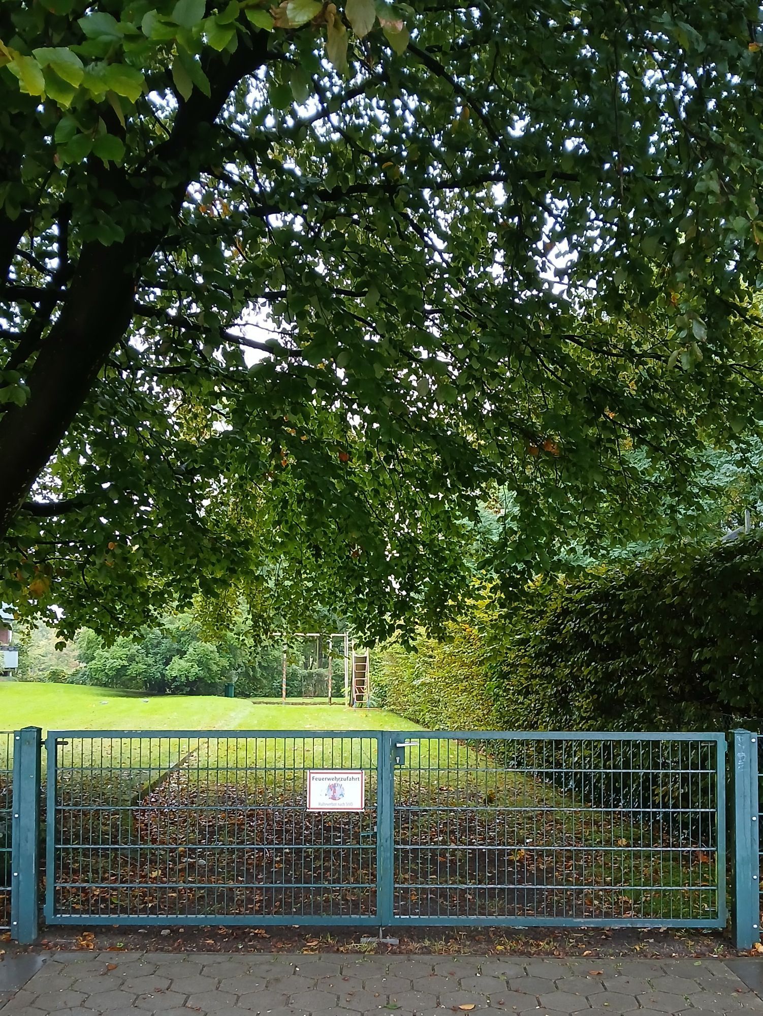 Feuerwehrzufahrt auf ein Wohngrundstück. Ein großer Baum daneben hängt mit seinen Ästen ins Lichtraumprofil.