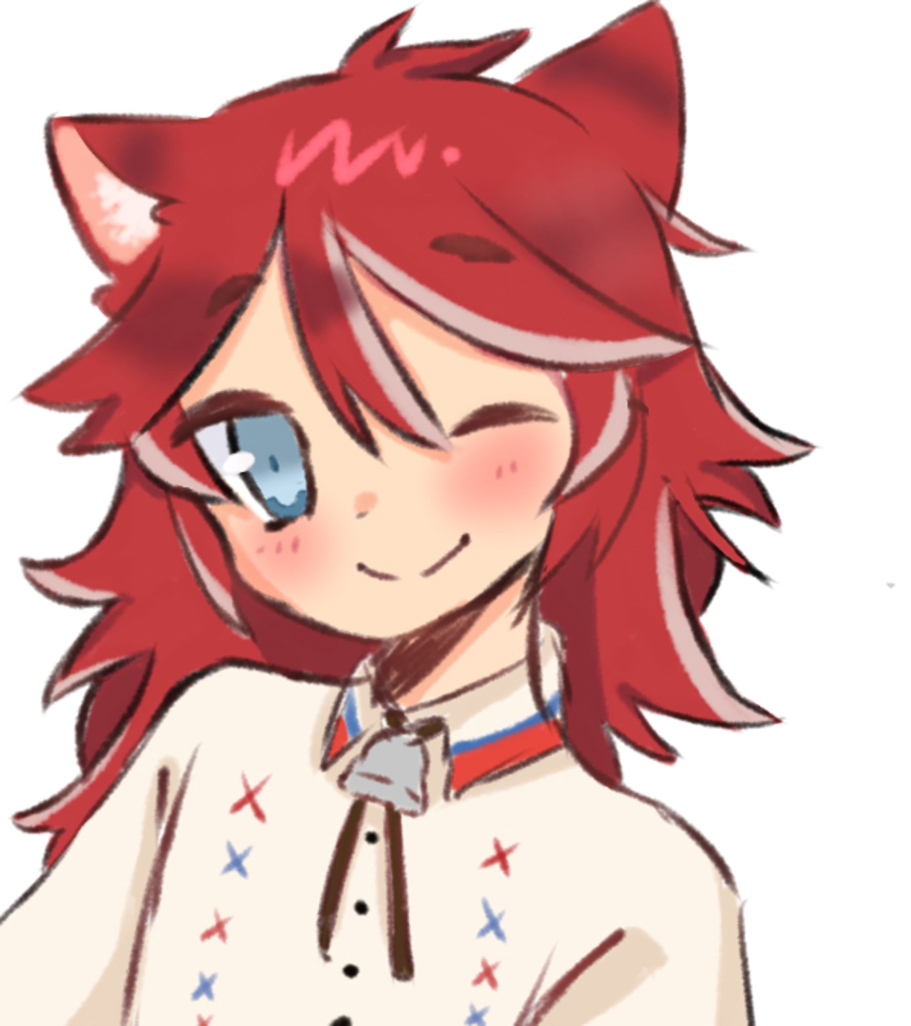 Lasso catsidy, a red headed catboy winking at the camera