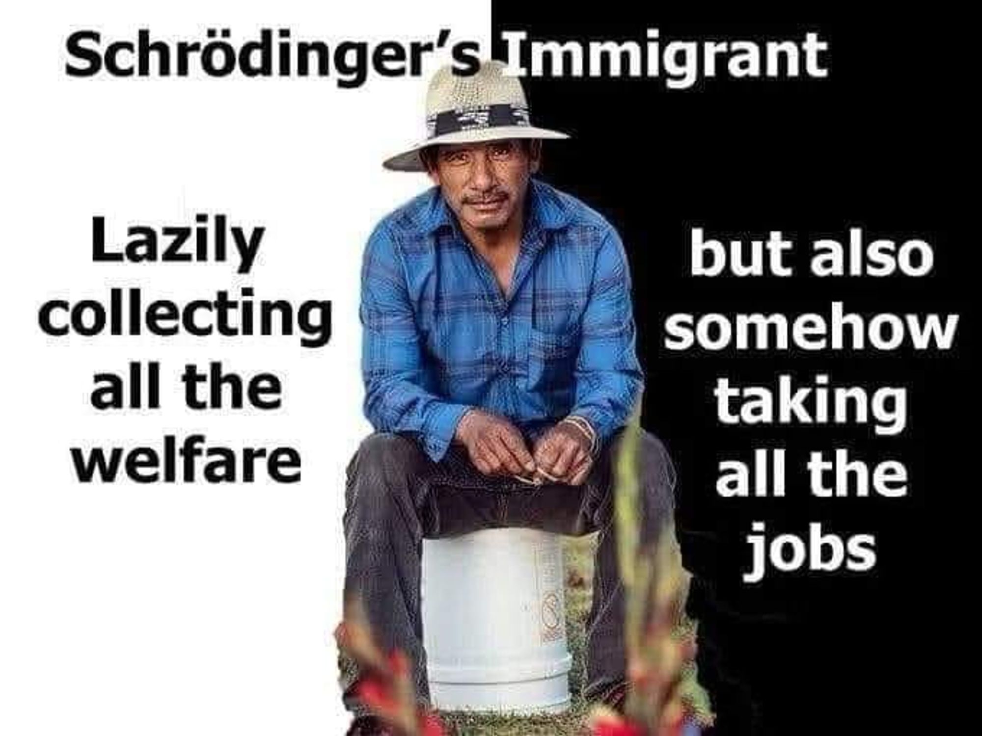 Schrodinger's Immigrant

Lazily collecting all the welfare
but also somehow taking all the jobs