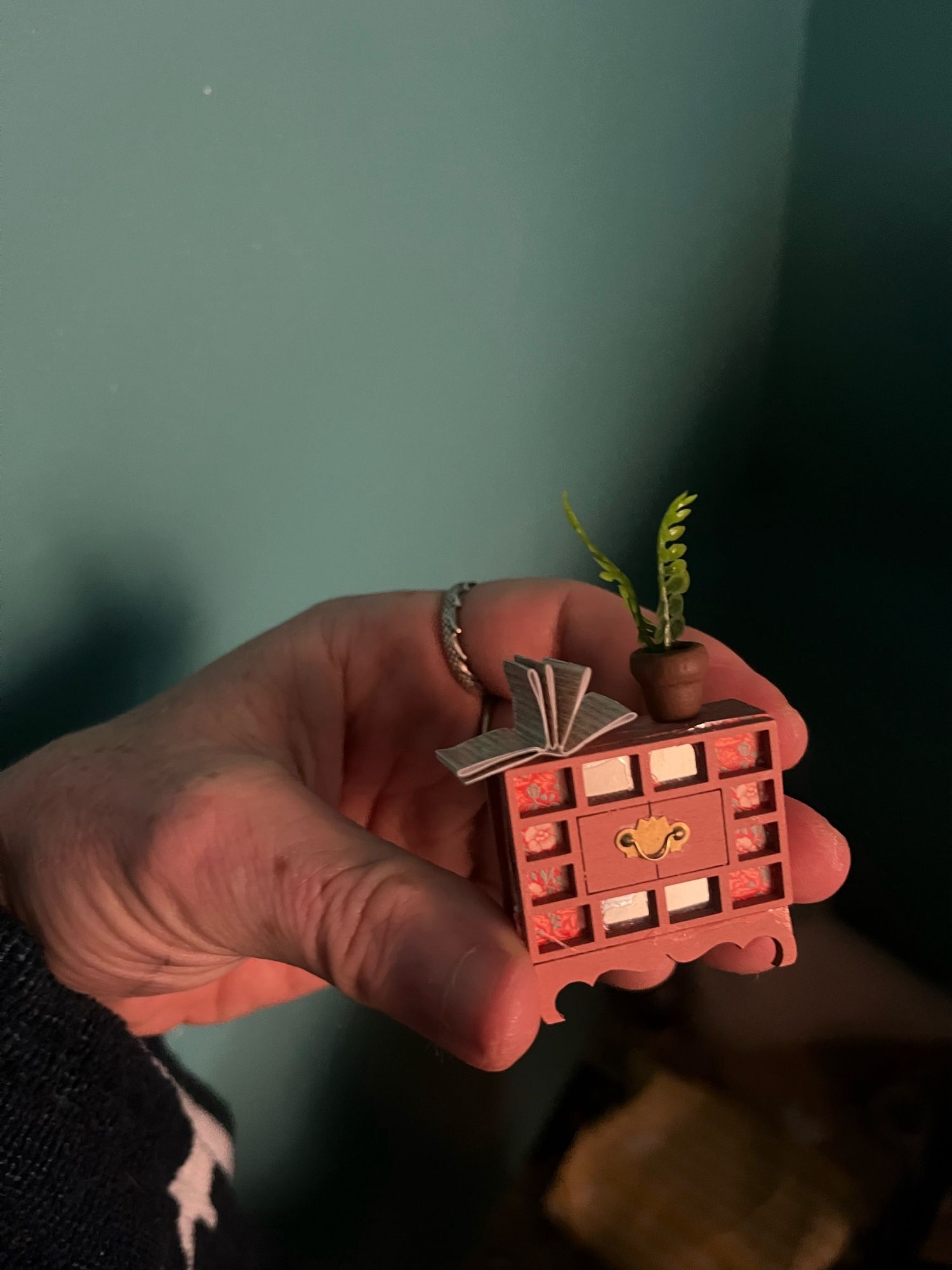 A tiny Korean cabinet with a tiny book and houseplant.