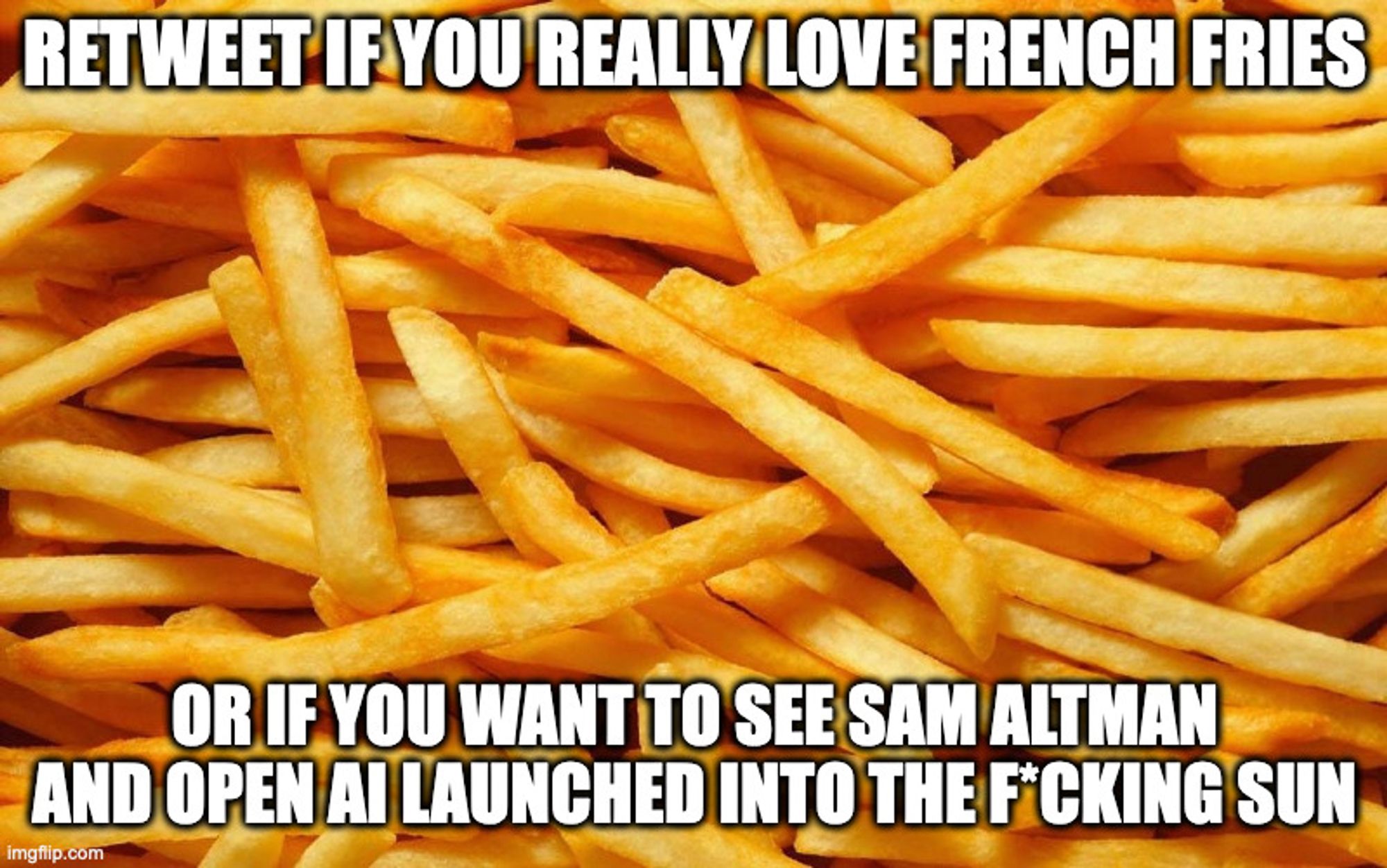 a photo of shoestring french fried potatoes in a pile with the text "RETWEET IF YOU REALLY LOVE FRENCH FRIES OR IF YOU WANT TO SEE SAM ALTMAN AND OPEN AI LAUNCHED INTO THE FUCKING SUN"