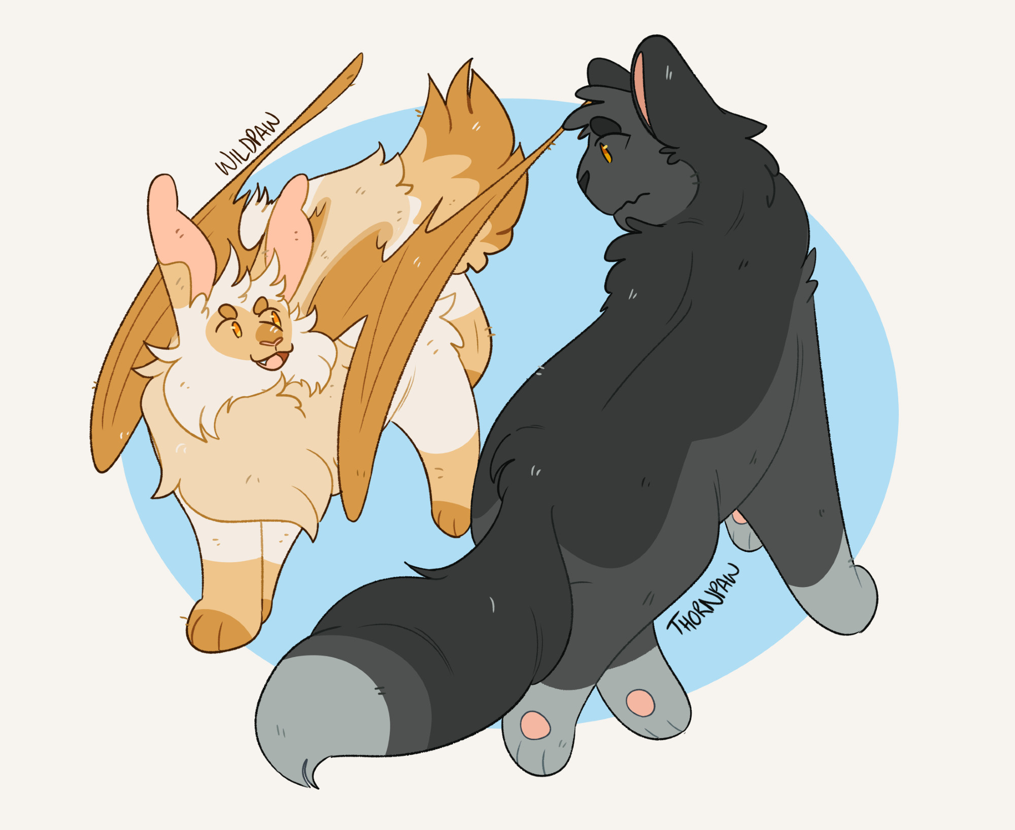 A digital drawing of two cats, Wildpaw and Thornpaw. Wildpaw is a small, stout, fluffy ginger colorpoint cat with long, rabbit-like ears, leathery bat wings, and a stubby tail. Thornpaw is a much larger, dark gray cat. They are circling each other; Wildpaw looks confident and cheerful, while Thornpaw looks nervous.