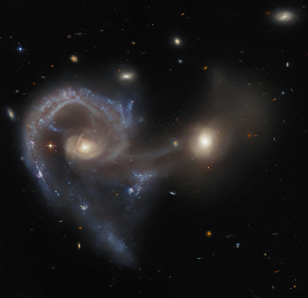 A pair of merging galaxies. The galaxy on the left has a single, large spiral arm curving out from the core and around to below it, with very visible glowing dust and gas. The right-hand galaxy has a bright core but only a bit of very faint material. A broad curtain of gas connects the two galaxies’ cores and hangs beneath them. A few small stars and galaxies are scattered around the black background.