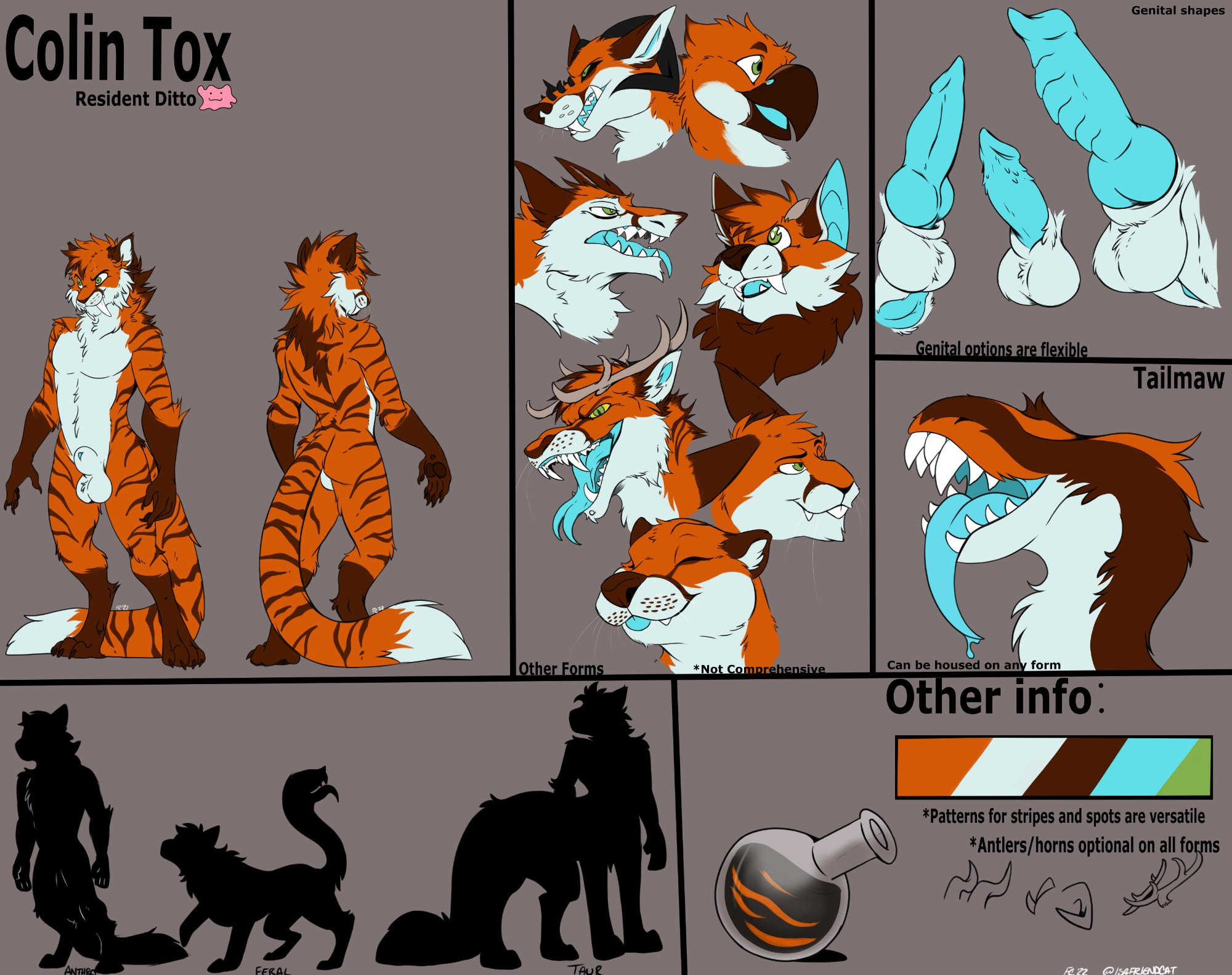 Character sheet for an orange thing with many different forms. 