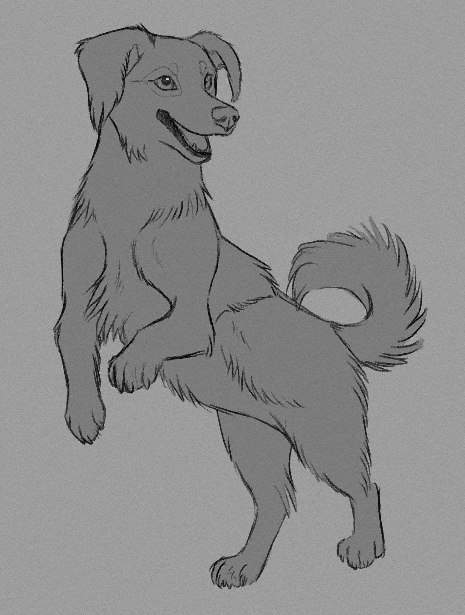 Extinct turnspit dog standing on their back legs