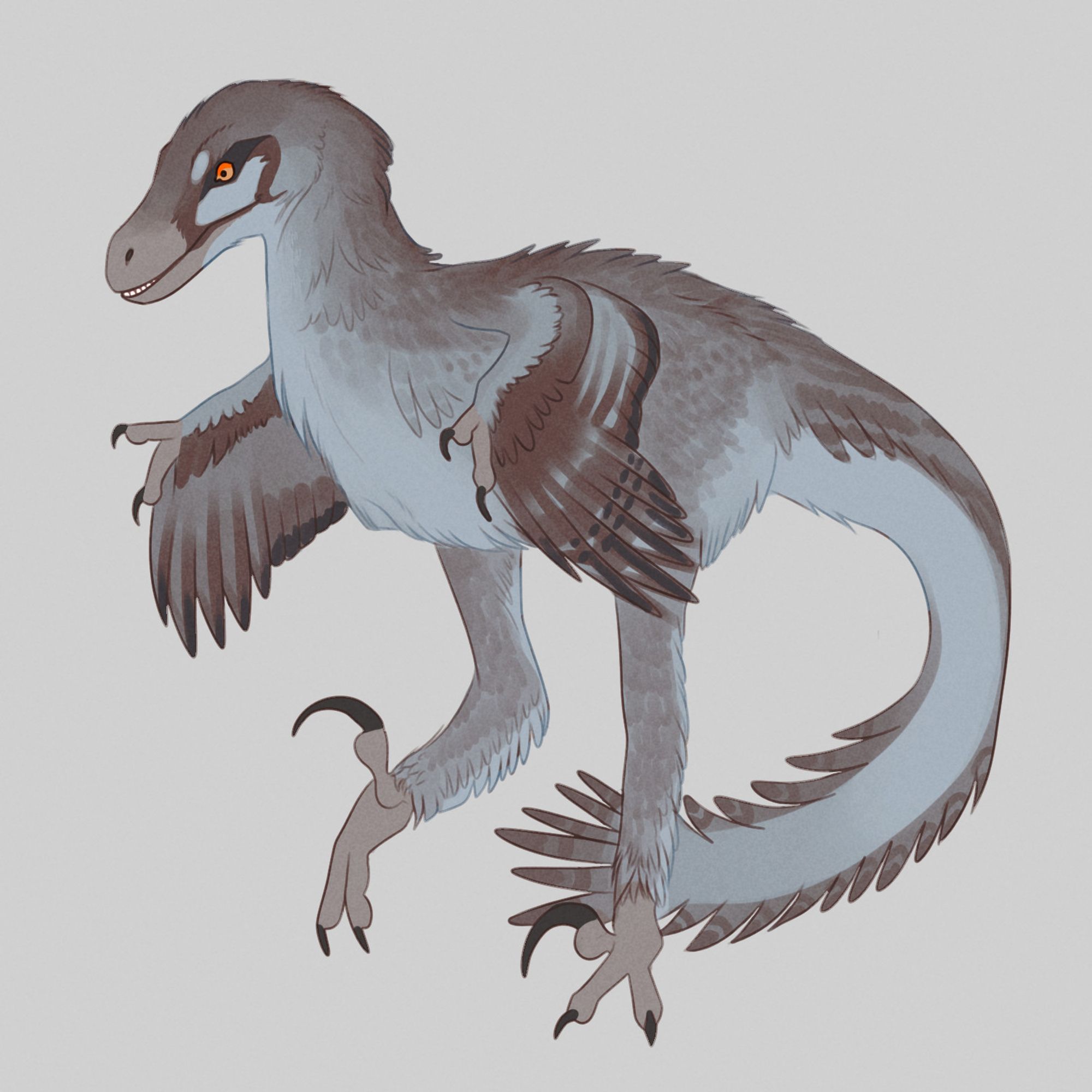 velociraptor with wings open; i am still new at drawing dinosaurs.