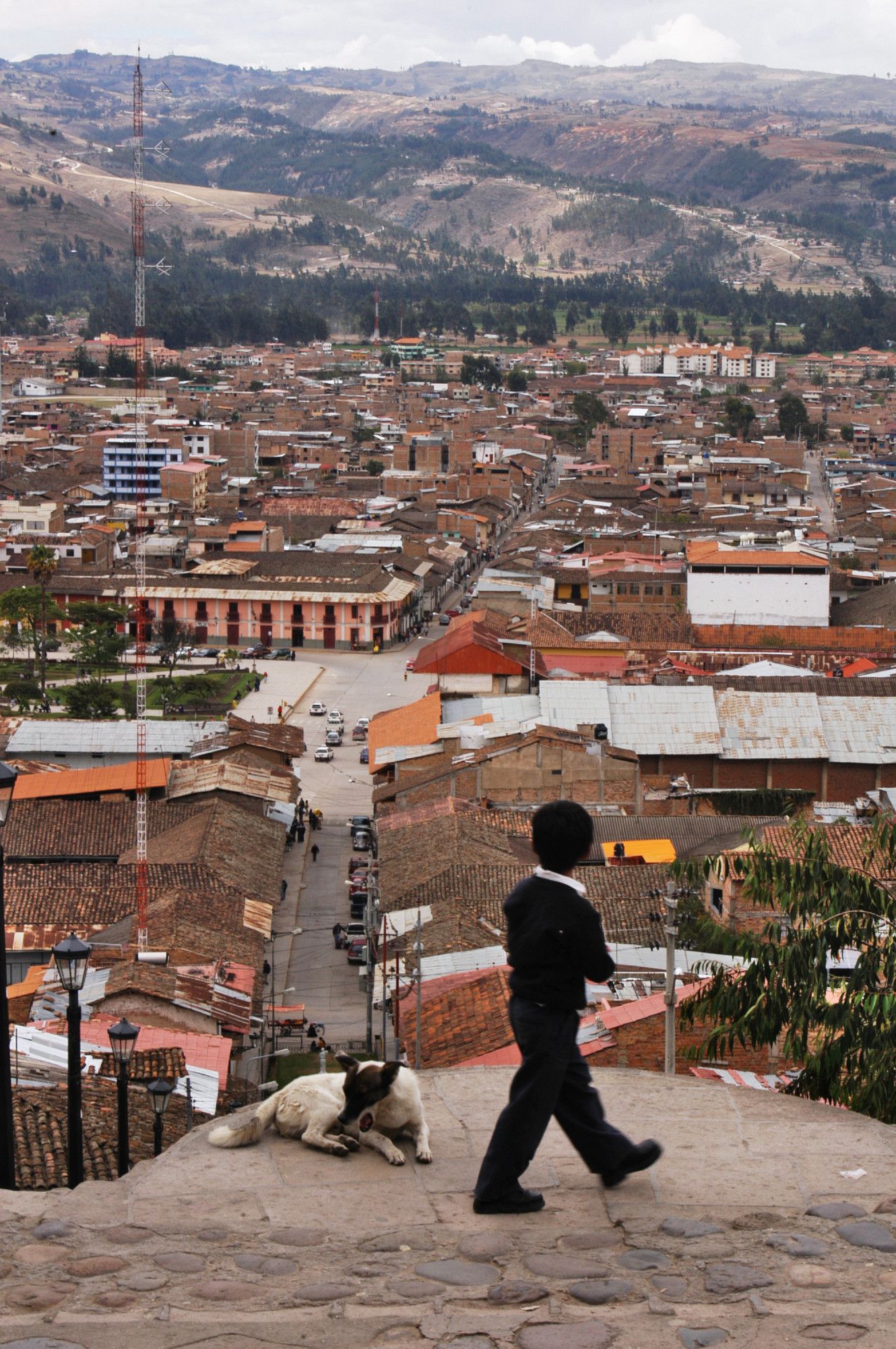 Un tout petit morceau de ciel gris.

Une montagne grise brune avec des arbres éparses, une antenne rouge et blanche à la gauche de l'image, une ligne d'arbre, puis l'immense étendue des toits rouges de Cajamarca , séparée en deux par une avenue qui se plante au pied de l'escalier en haut duquel se trouve le photographe.

En premier plan, sur le sol avant l'escalier un chien blanc avec la tête noire. et un enfant de dos, habillé en dimanche regarde la ville qui s'étend à ses pieds