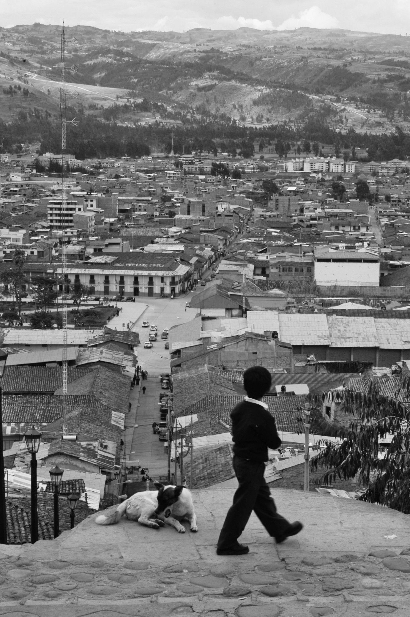 Même image que l'antérieure, mais en noir et blanc.