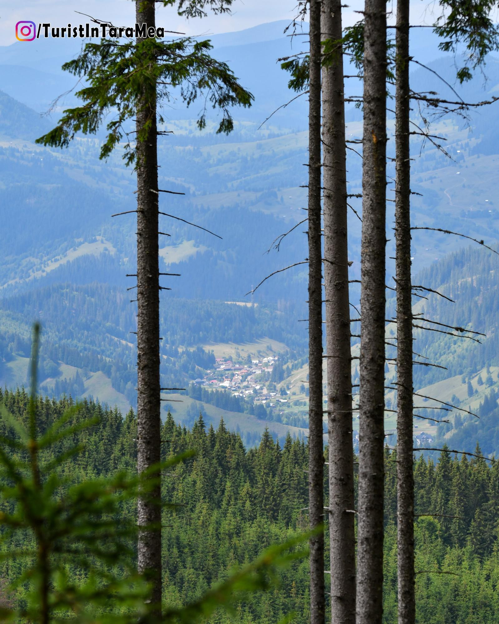 Pojorâta vazută de pe Giumalău  - Bucovina , 2022-07-09 #TuristÎnȚaraMea ©@TuristInTaraMea - https://www.instagram.com/turistintaramea/