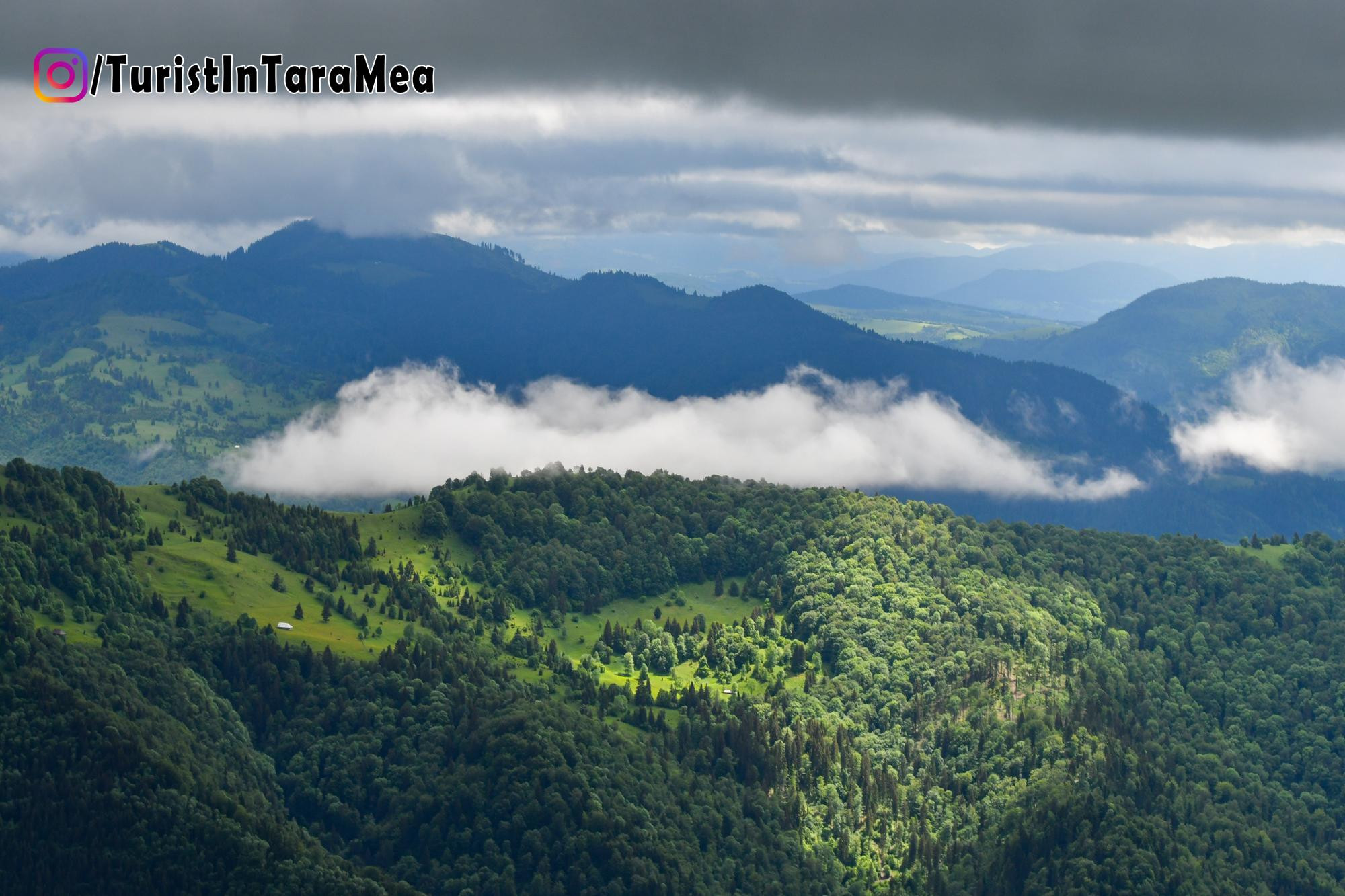 Nori peste vârfurile împădurite  - Rodnei , 2022-06-05 #TuristÎnȚaraMea ©@TuristInTaraMea - https://www.instagram.com/turistintaramea/