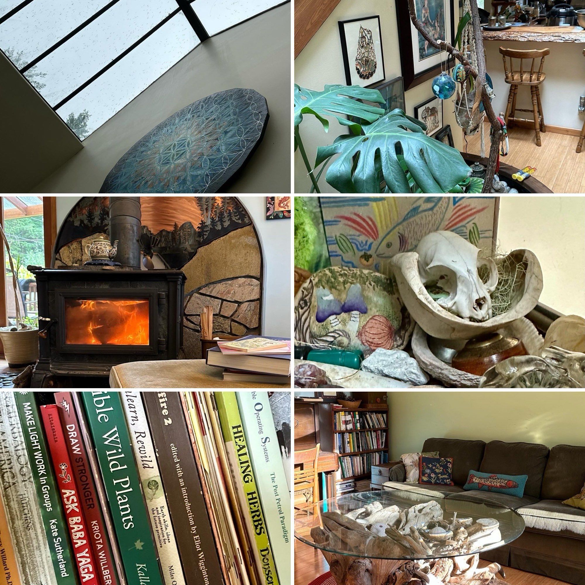 Six photos of details from the Wayward Retreat house: a circular painting near a skylight; large monstera leaves growing near the kitchen; a wood stove; a collection of small objects, including a create skull and a painting of a fish; books on a shelf with titles like "edible wild plants" and "healing herbs"; a living room with a couch, a bookshelf, and a table made from driftwood.