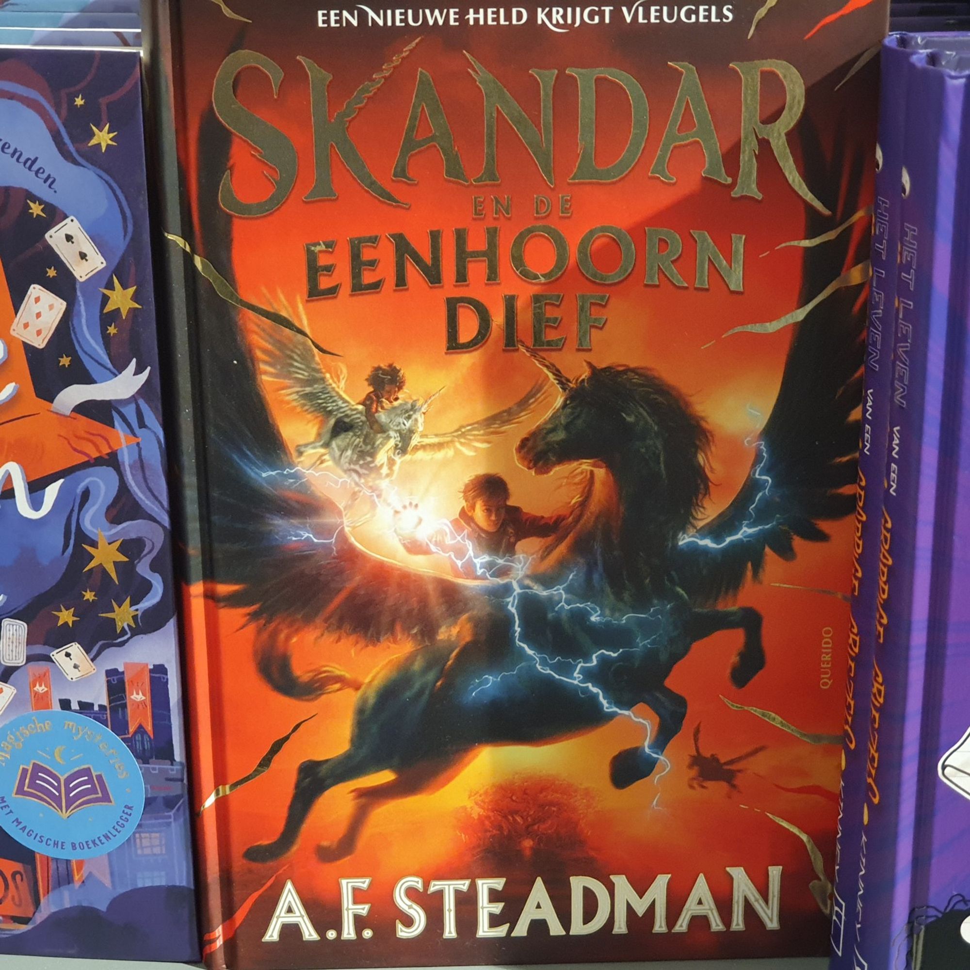 Dutch copy of A. F. Steadman's 'Skandar en de Eenhoorn Dief'.