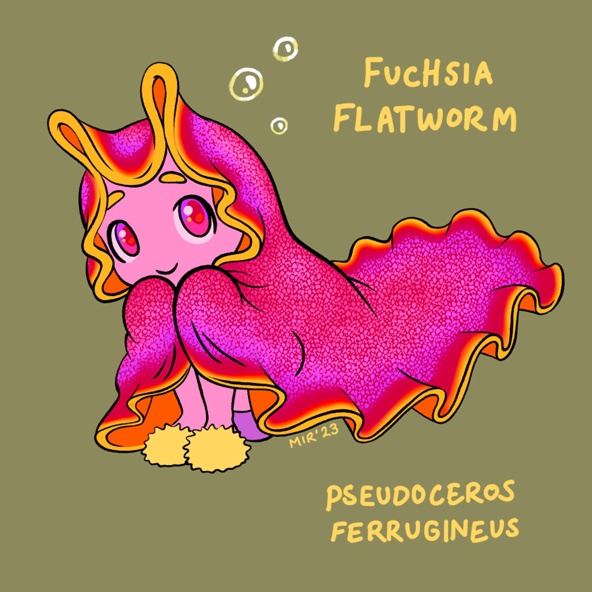 A fuchsia flatworm girl, huddled wrapped up in her fuchsia and red blanket with ruffled yellow trim. Bunny ear like folds sticking up on top her pink head. Yellow fuzzy slippers peeking out underneath.