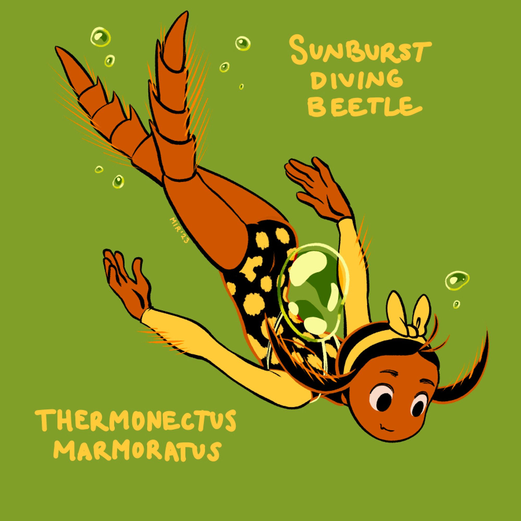 Drawing of a girl swimming. She’s wearing a black suit with yellow beetle markings. Her legs are sepia brown, segmented and feathery. Her black hair also mimics the feathery legs and antennae. She wears a yellow bow on her head, referencing the yellow bowtie shape on the beetles heads.