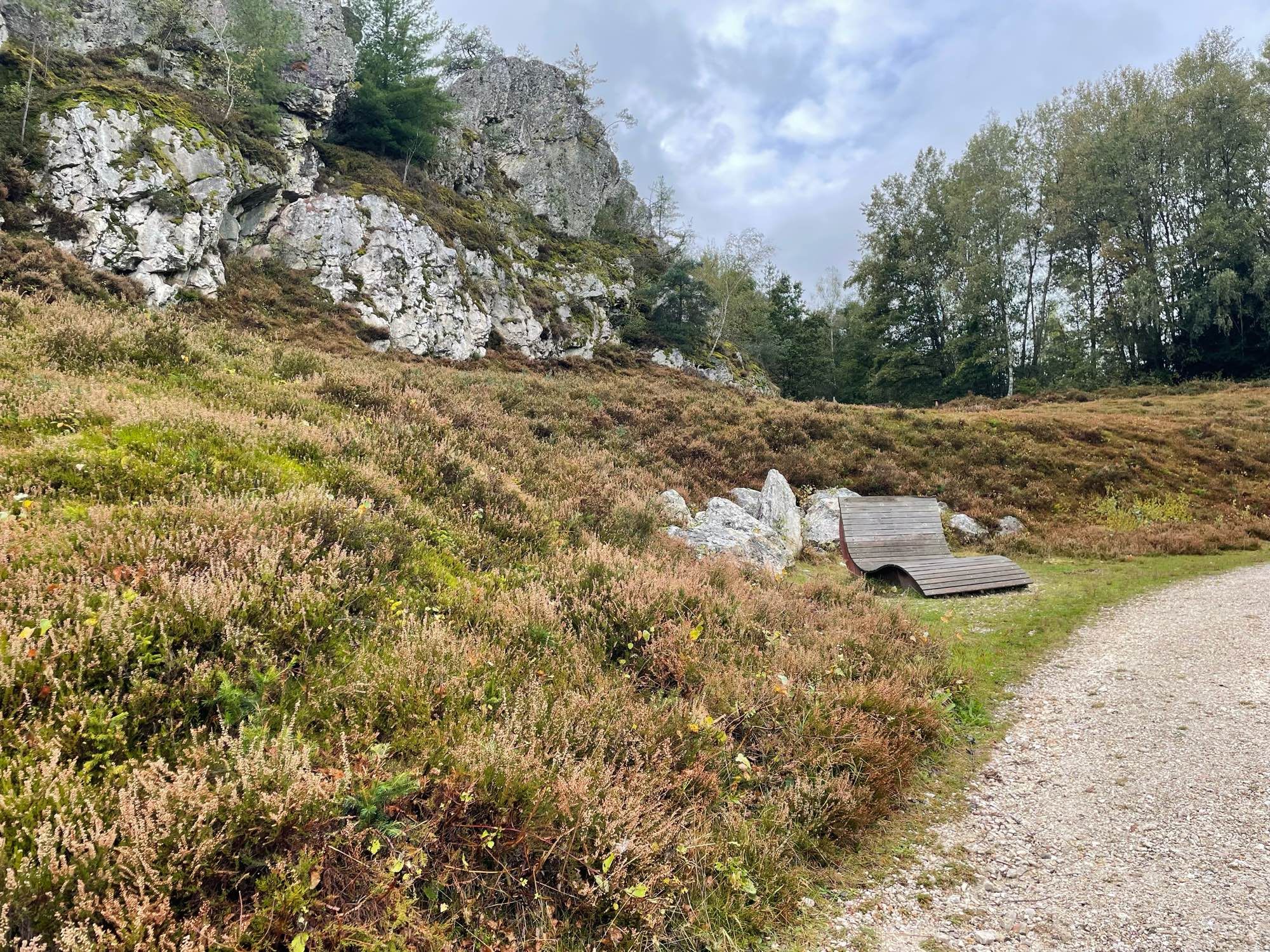 Am Pfahl in Viechtach. Herbstliche Heidelandschaft, eine geschwungene Holzliege, kein Hund.
Links hinten angegraute Quarzfelsen mit autochthonem Bewuchs. Birke, Kiefer, Flechte, Moos