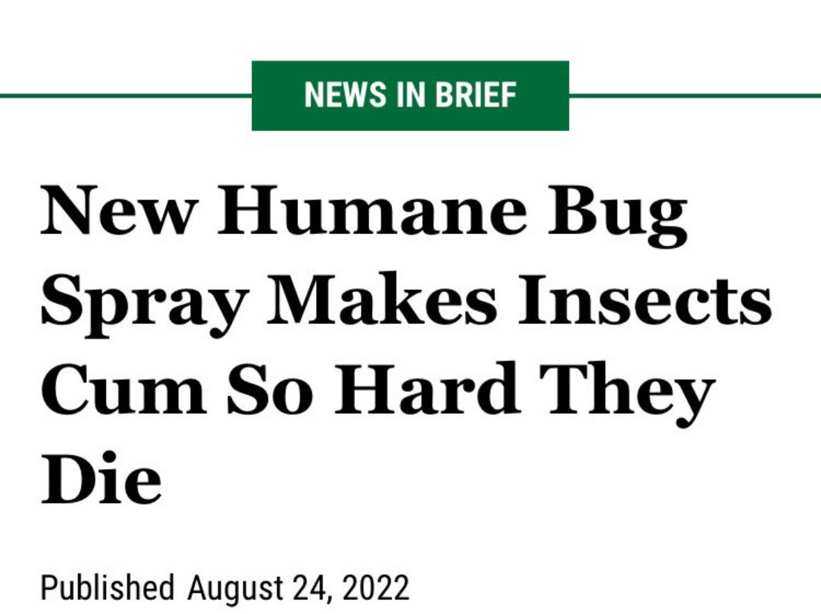the ONION'
HOME
LATEST

New Humane Bug Spray Makes Insects Cum So Hard They
Die
Published August 24, 2022