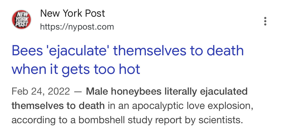 New York Post
https://nypost.com
Bees 'ejaculate' themselves to death when it gets too hot
Feb 24, 2022 - Male honeybees literally ejaculated themselves to death in an apocalyptic love explosion, according to a bombshell study report by scientists.