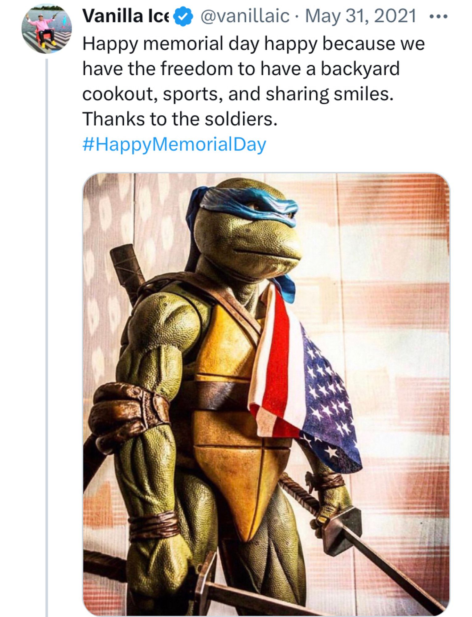 Vanilla Ice: Happy memorial day happy because we have the freedom to have a backyard cookout, sports, and sharing smiles. Thanks to the soldiers. #HappyMemorialDay (there’s a picture of a ninja turtle)