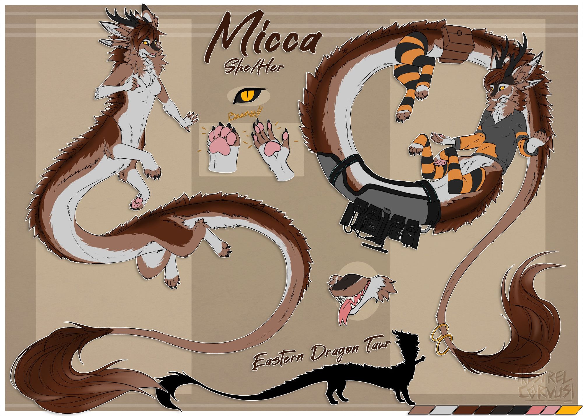 Reference sheet for "Micca", a Eastern Dragon Taur. Brown and white, natural counter-shading type coloring. Pink beans and tongue, yellow eyes, very very long. No obvious scales, just a lot of fluffy fur. Huge tail poof/brush. Forked tongue. Camera mounted to her back.