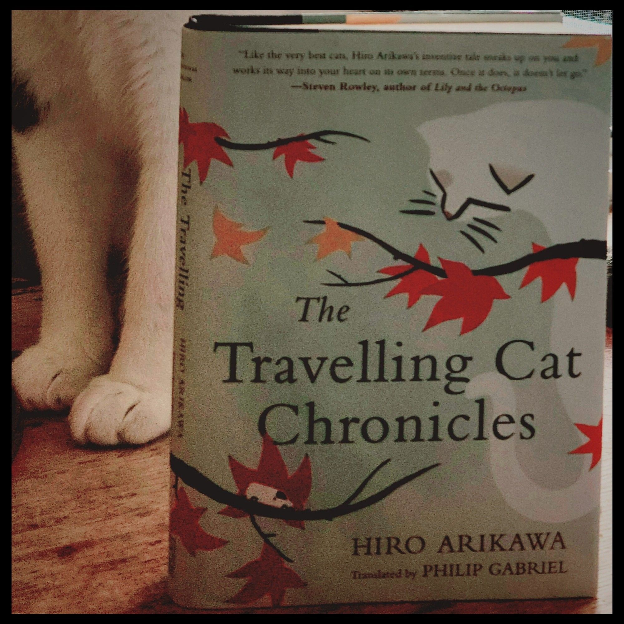 A photo of the book The Travelling Cat Chonicles by Hiro Arikawa. A pair of white cats paws are visible behind the book.