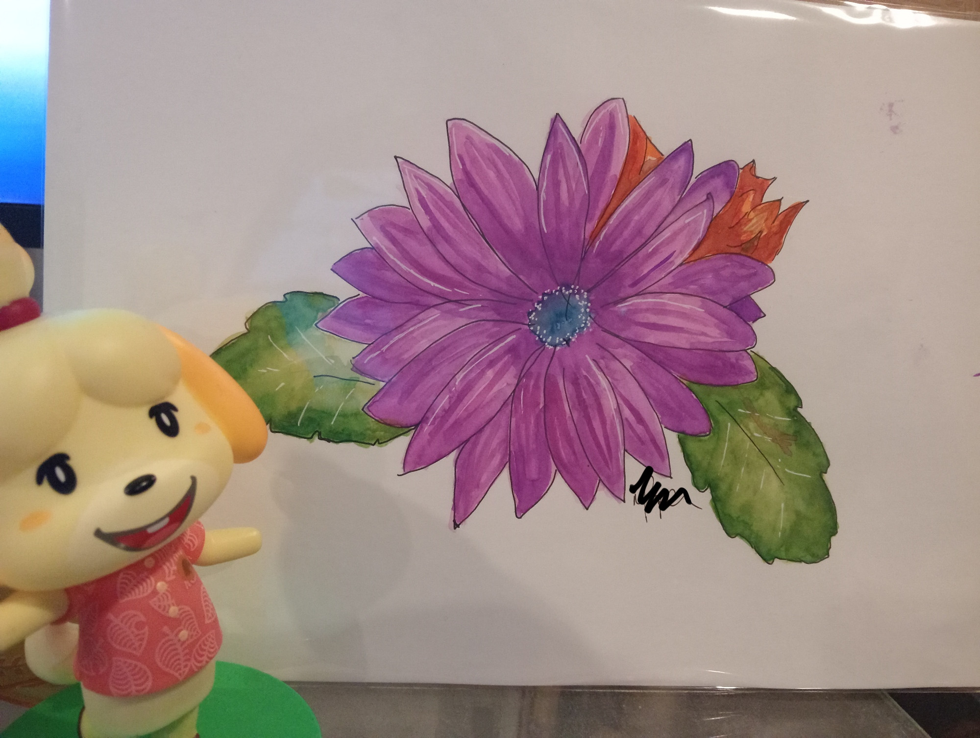 It's a painting of a purple daisy-like flower with a lot petals, green leaves on either side, and a couple of orange petals behind the main flower on the right, in front of the painting to the left is an Isabelle figure (from Animal Crossing). It was painted with watercolour paints and a lot of faith in "the process".