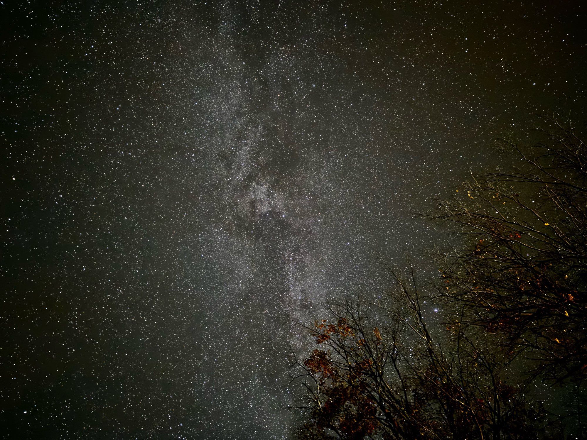 The night sky filled with countless stars, just an incomprehensible apron of diamonds against black.