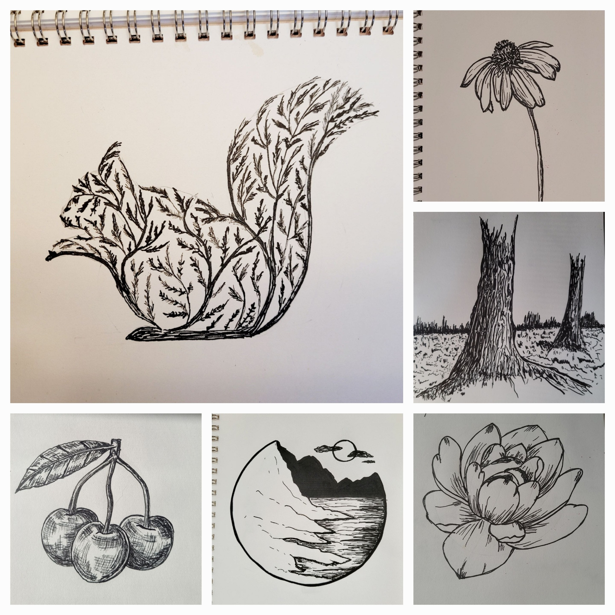 A collage of 6 black ink drawings on white paper including: the silhouette of a squirrel made up of grasses; a wildflower; three cherries on stems with a leaf; a cold mountain and water scene in a circle; a peony