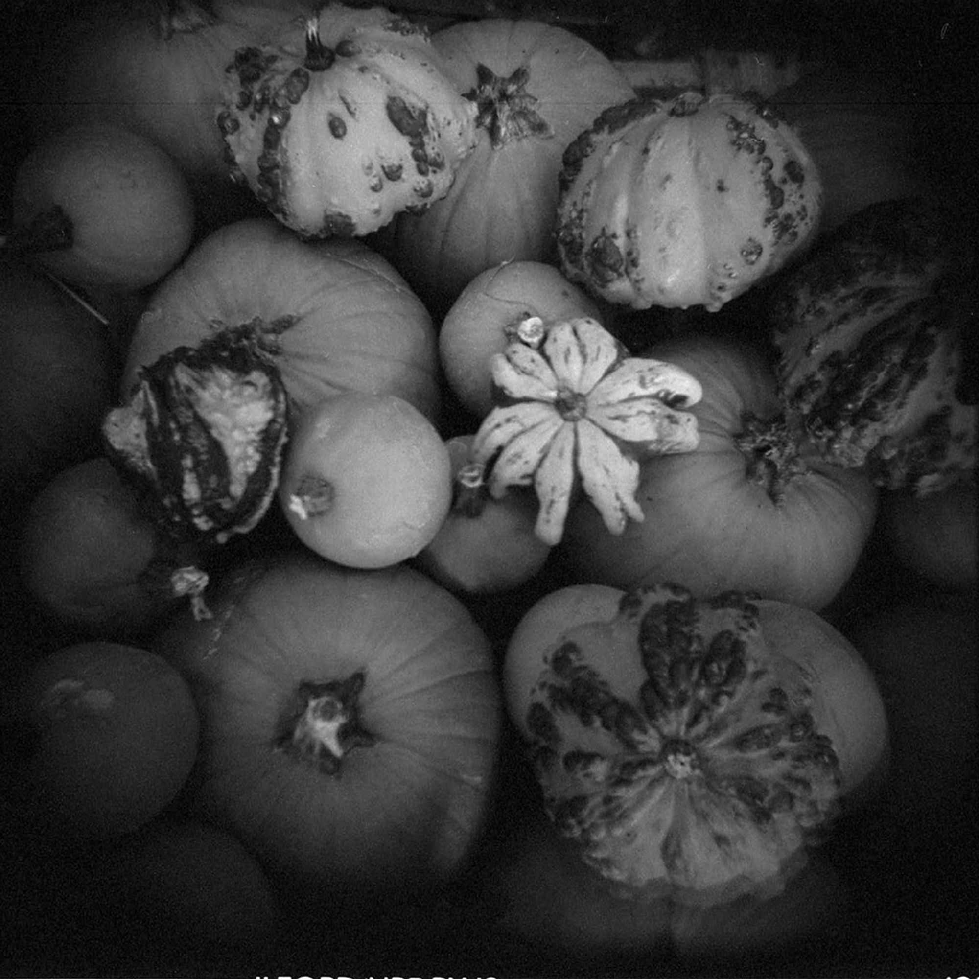 A black and white photograph looking down on a small gourd and pumpkin collection.