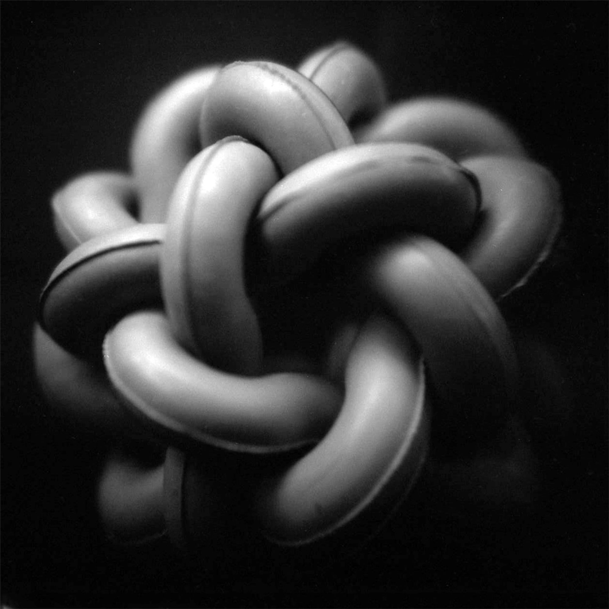 A close-up black and white photograph of a hard rubber knobbly wobbly dog toy against a black background.