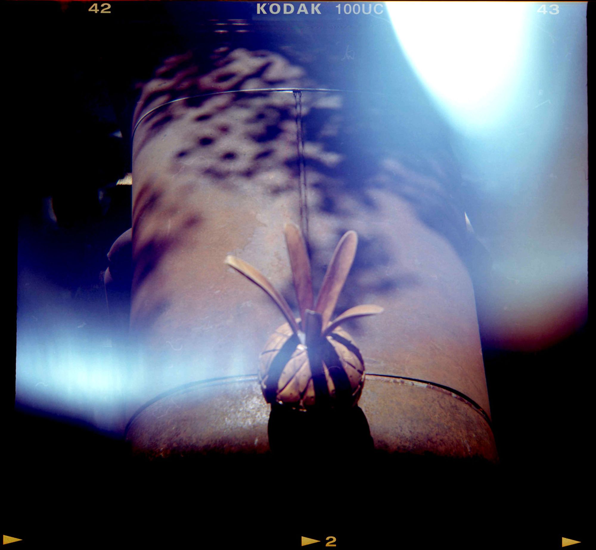 A color photograph with light leaks of a rusty metal pineapple hood ornament slash radiator cap on an equally rusty 30-something hot rod with the shade of a nearby tree falling on part of the hood.