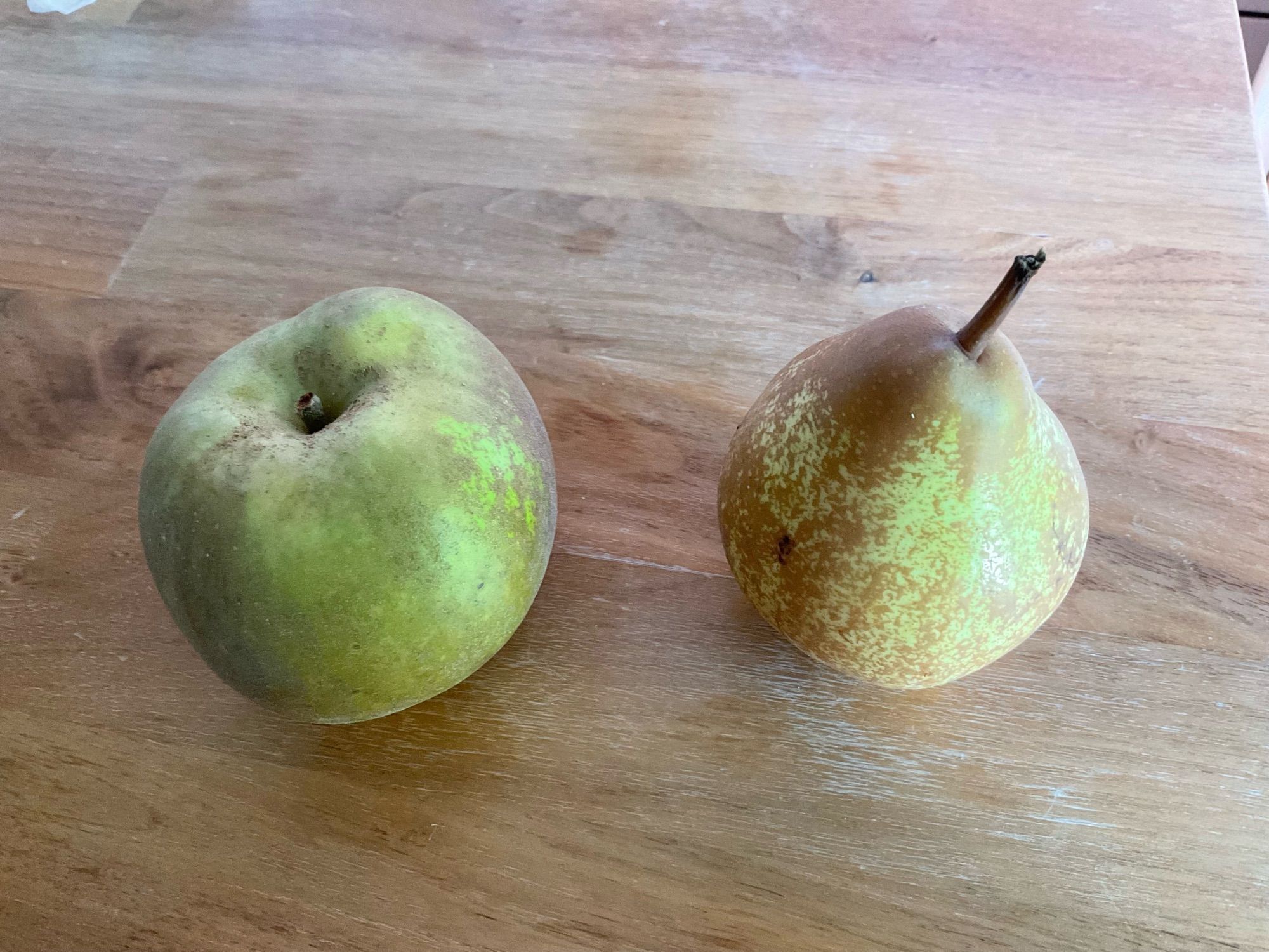 An apple and pear on a bench, both green with a rough russet surface.