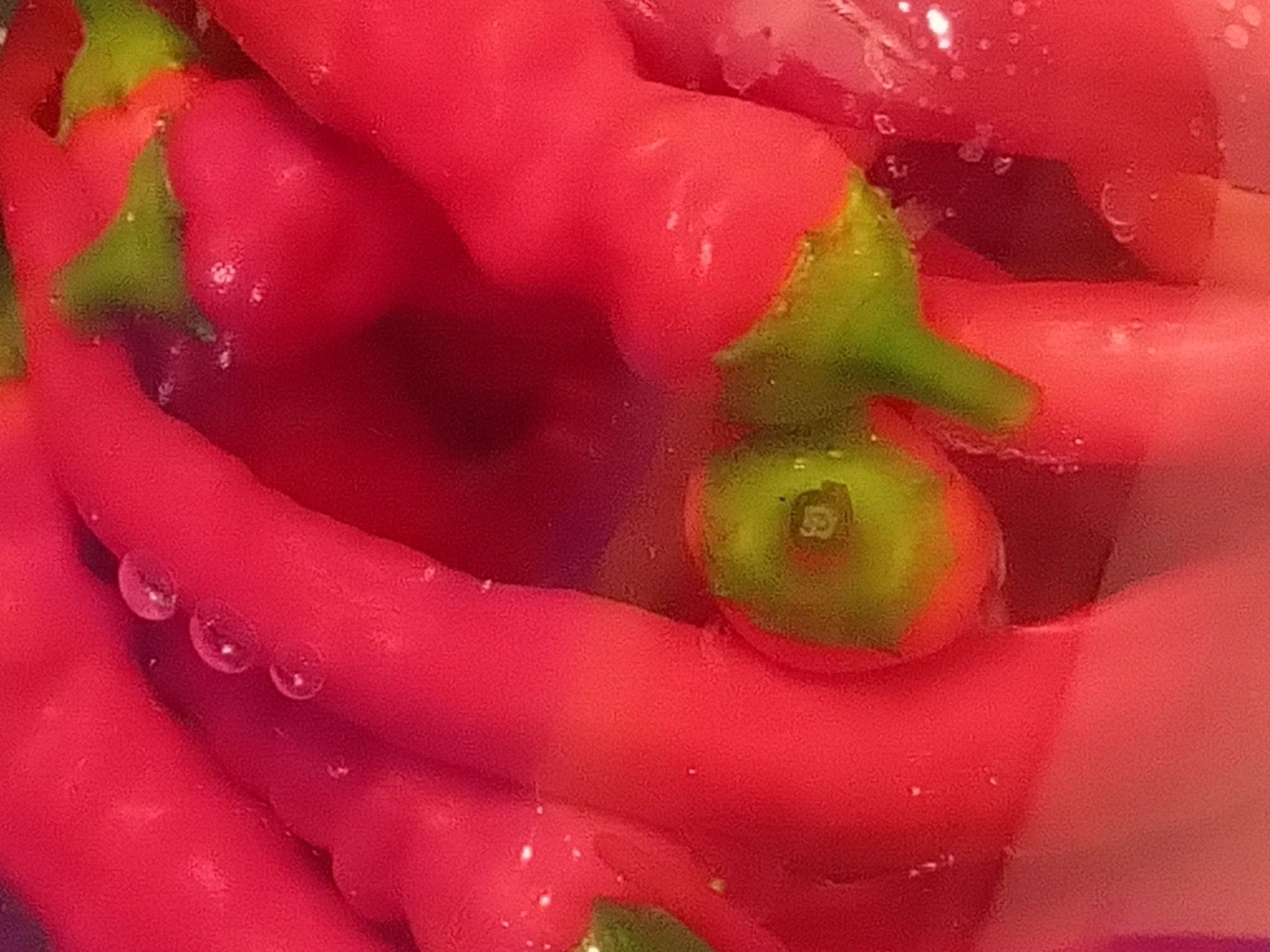 Paprika in Sole zur Fermentation.