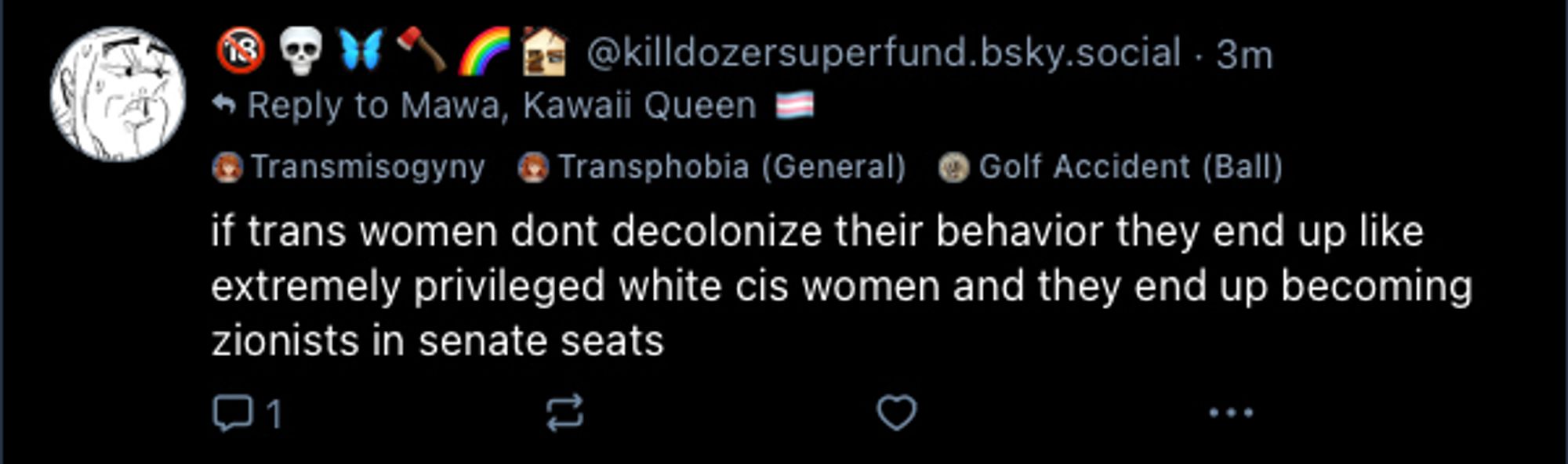 if trans women dont decolonize their behavior they end up like extremely privileged white cis women and they end up becoming zionists in senate seats