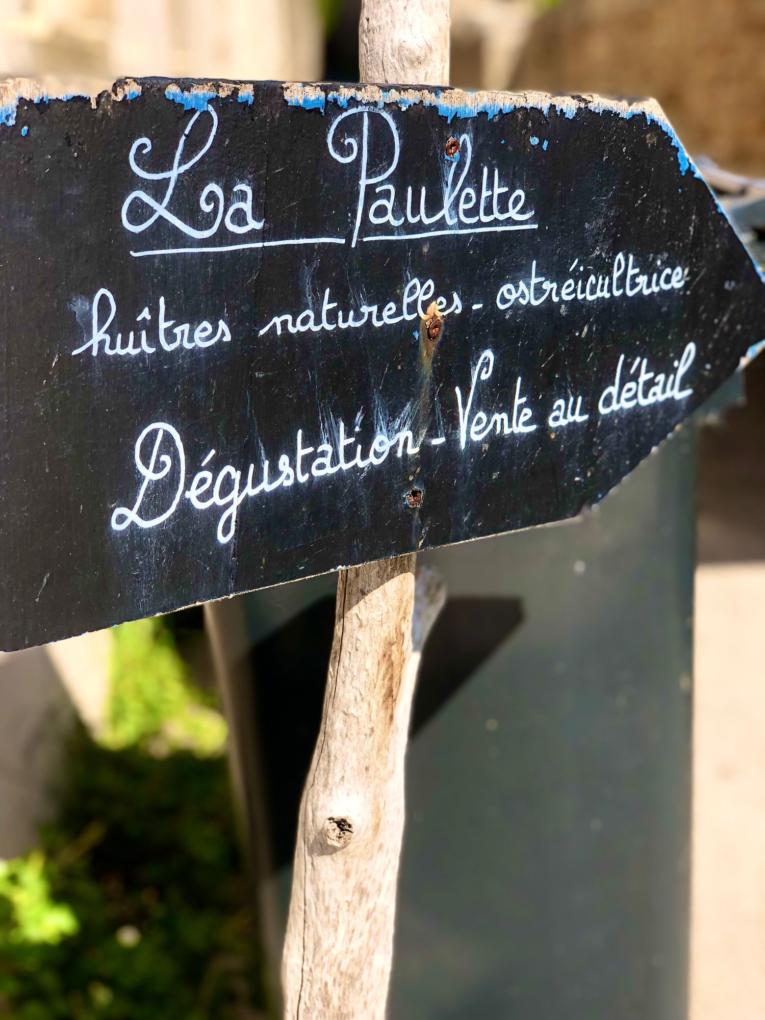 Panneau la Paulette
Huîtres naturelles ostréicultrice
Dégustation vente au détail